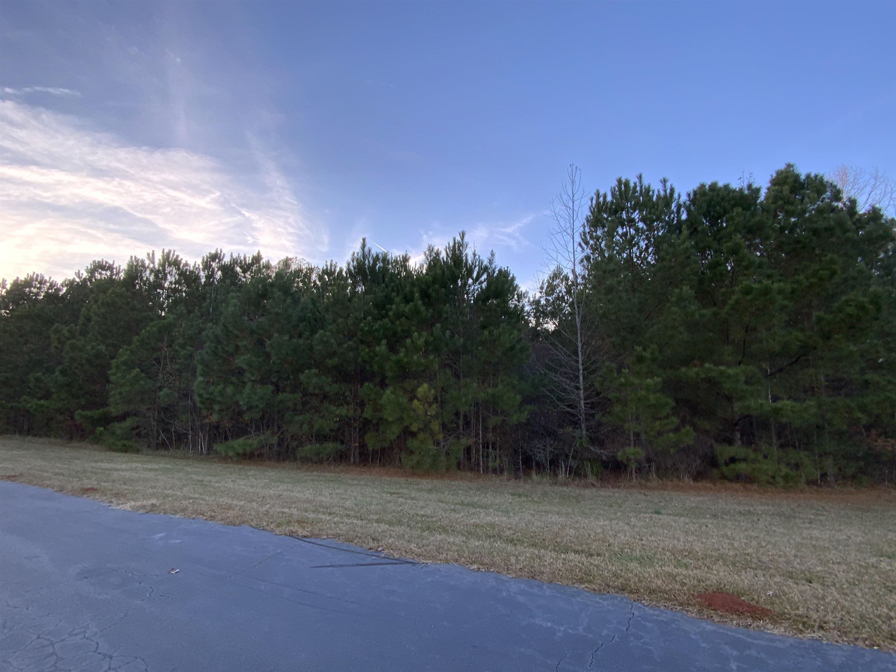 100 Pine Bloom Way # 71 Property Photo 3
