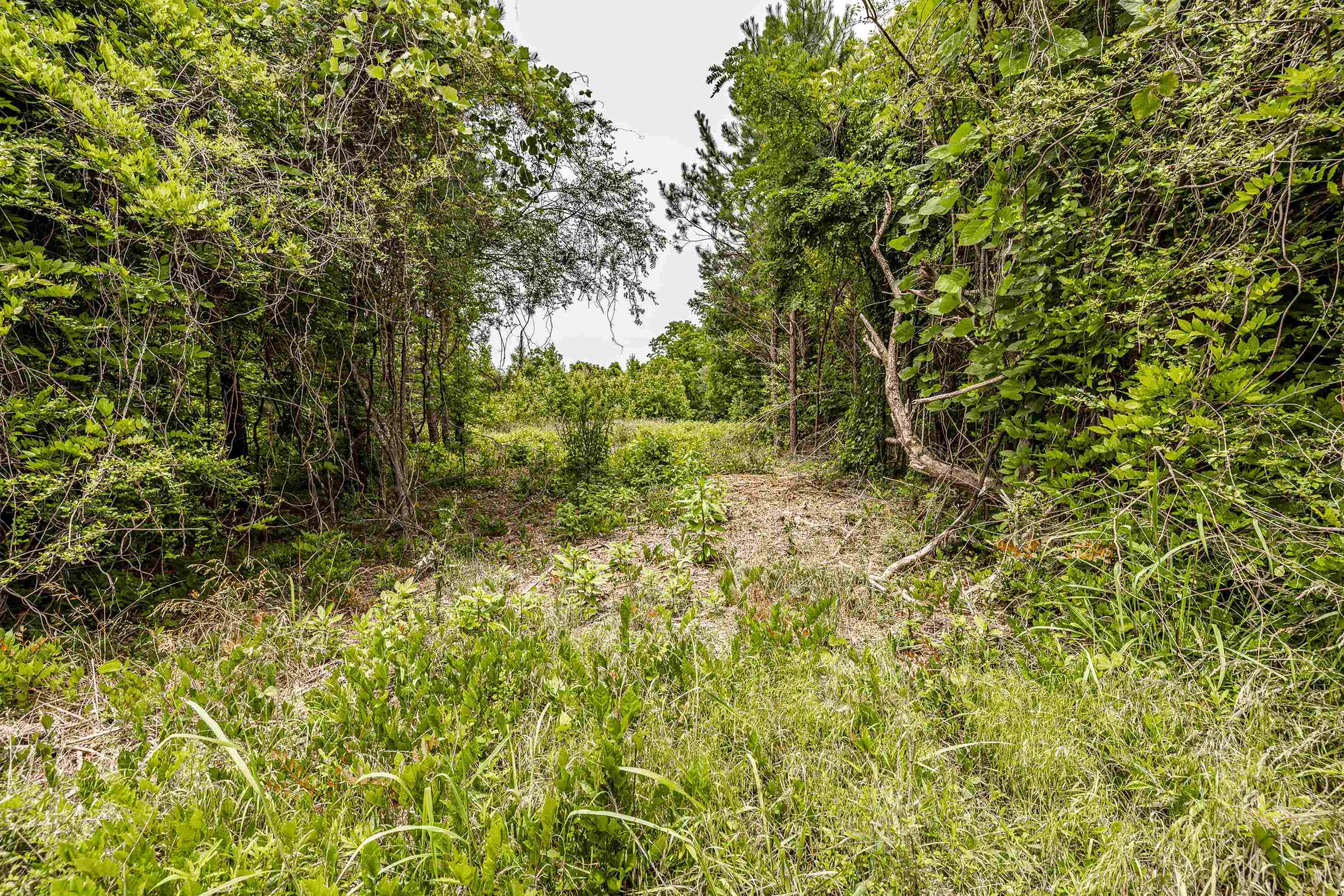 000 Washington Highway # 1 Property Photo 12