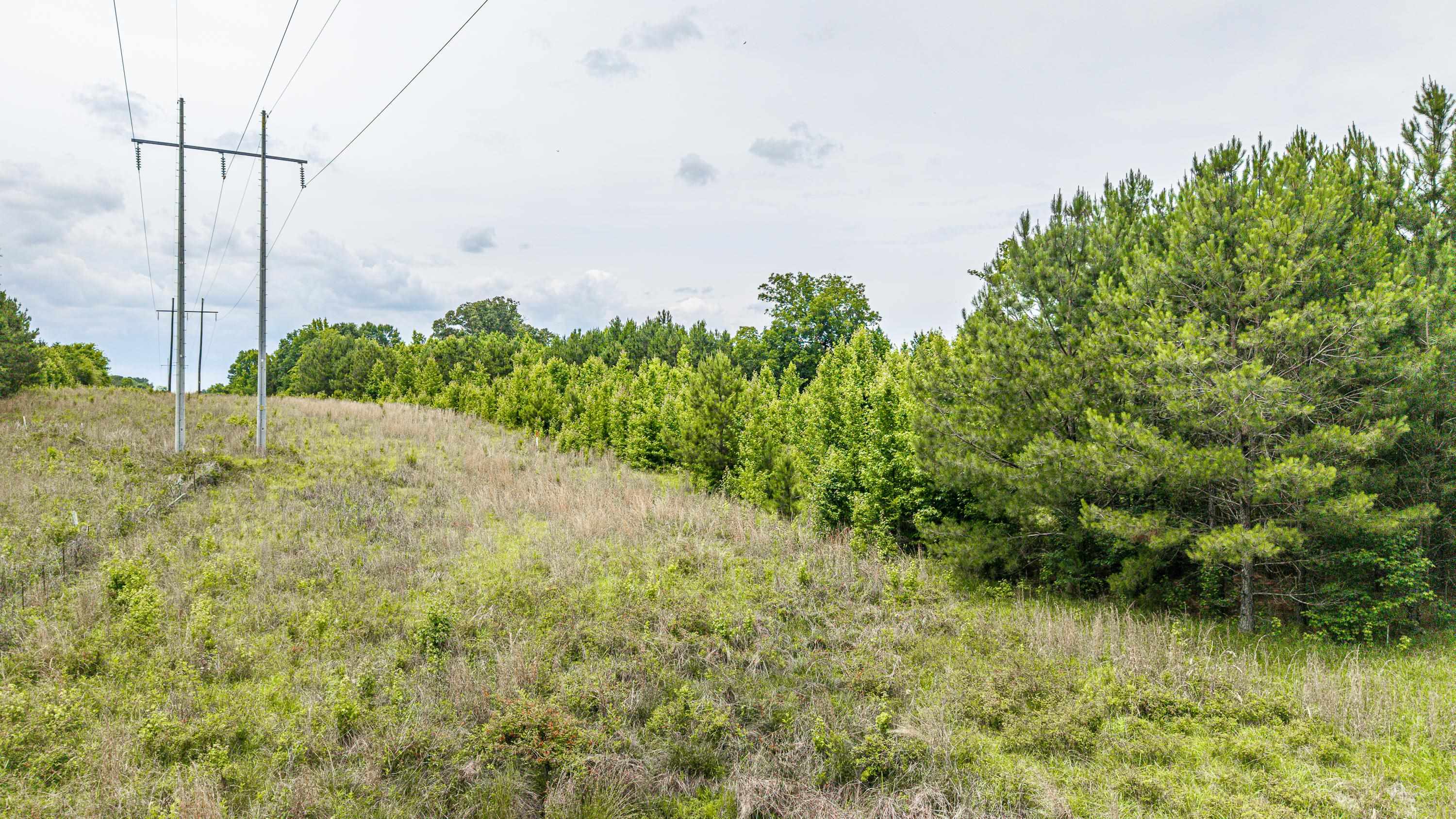000 Washington Highway # 1 Property Photo 15