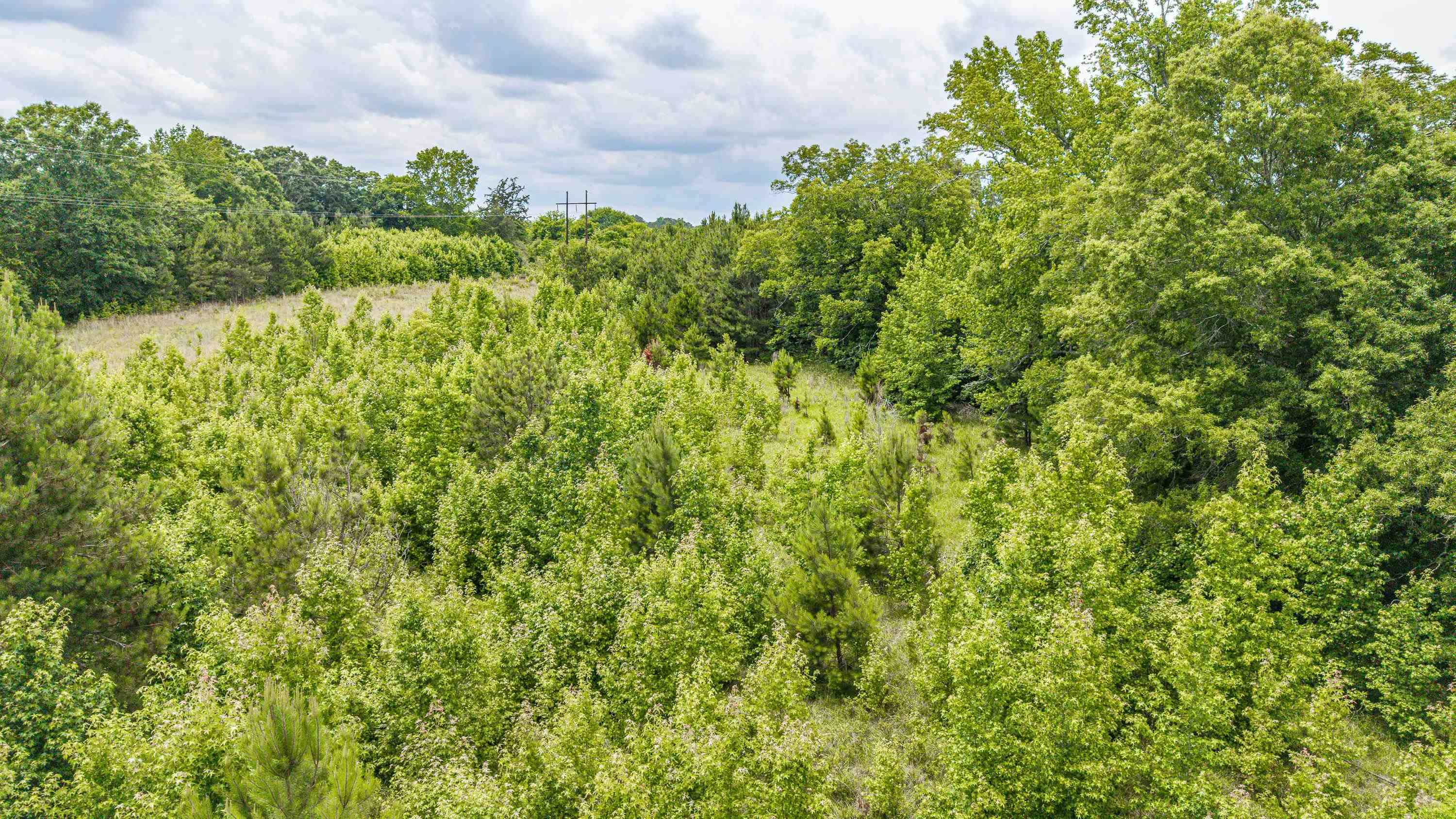 000 Washington Highway # 1 Property Photo 22