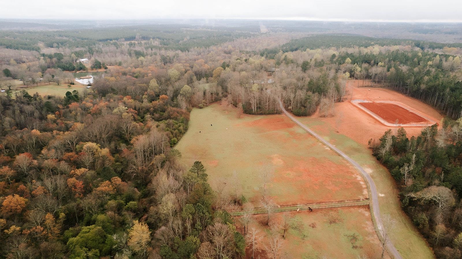 2190 Reese Road Property Photo 46