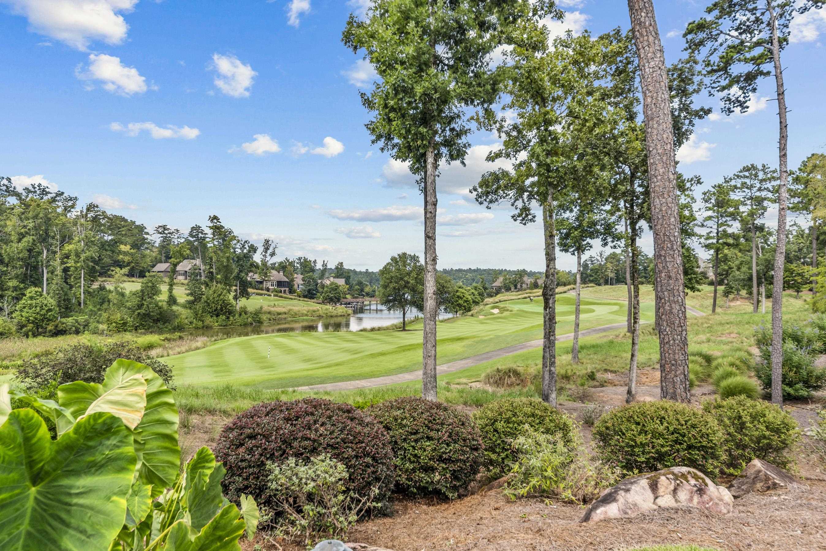 1240 Rose Creek Property Photo 6