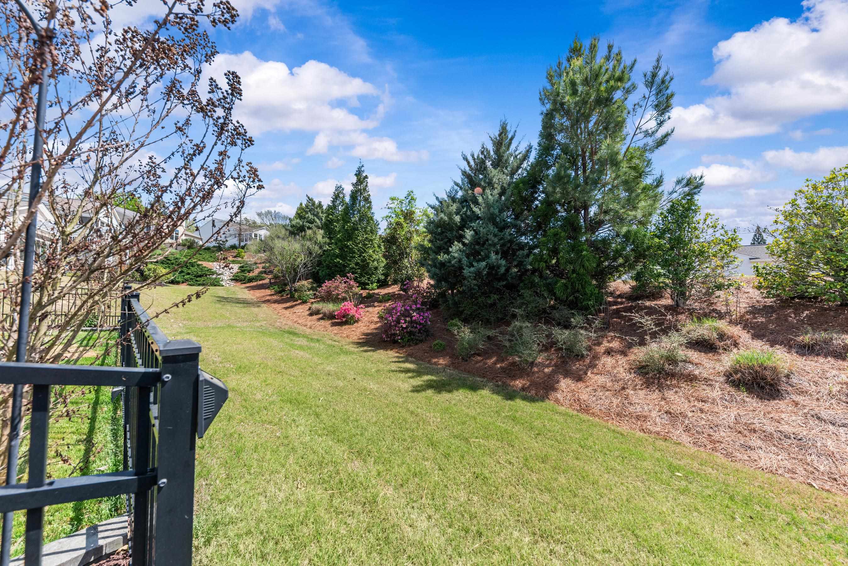 1081 Branch Creek Way Property Photo 42