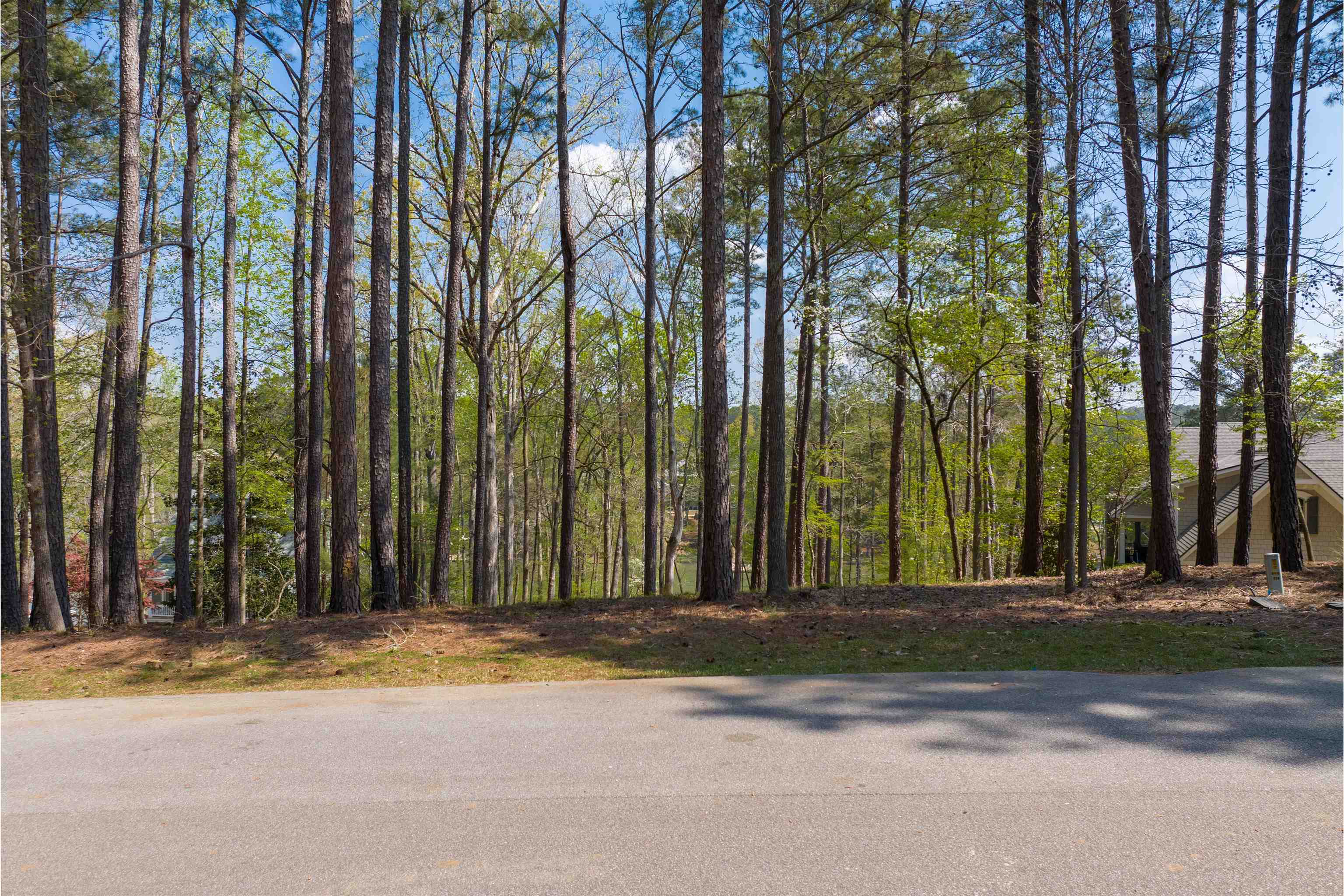1161 Davison Drive # 41 Property Photo 3
