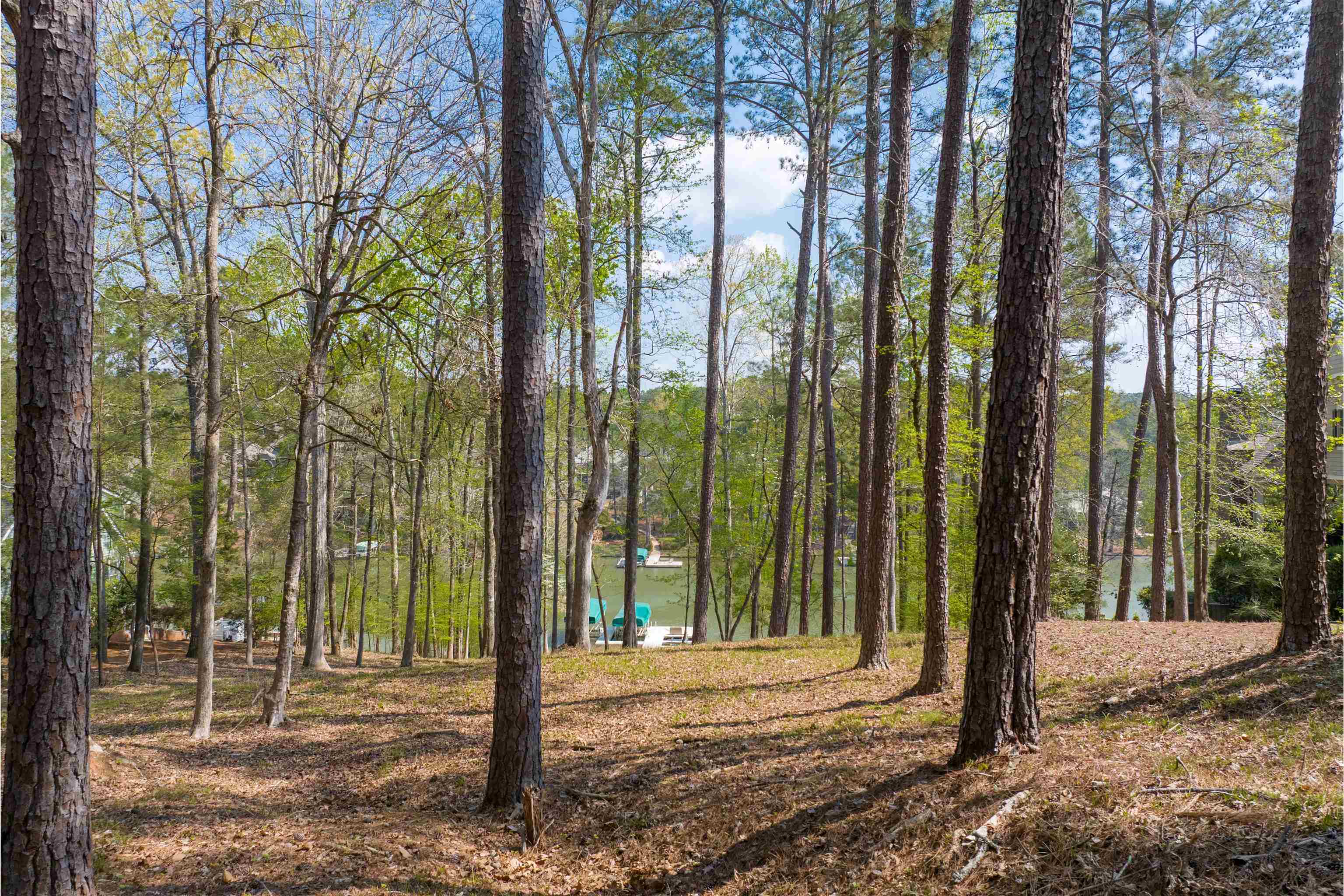 1161 Davison Drive # 41 Property Photo 6