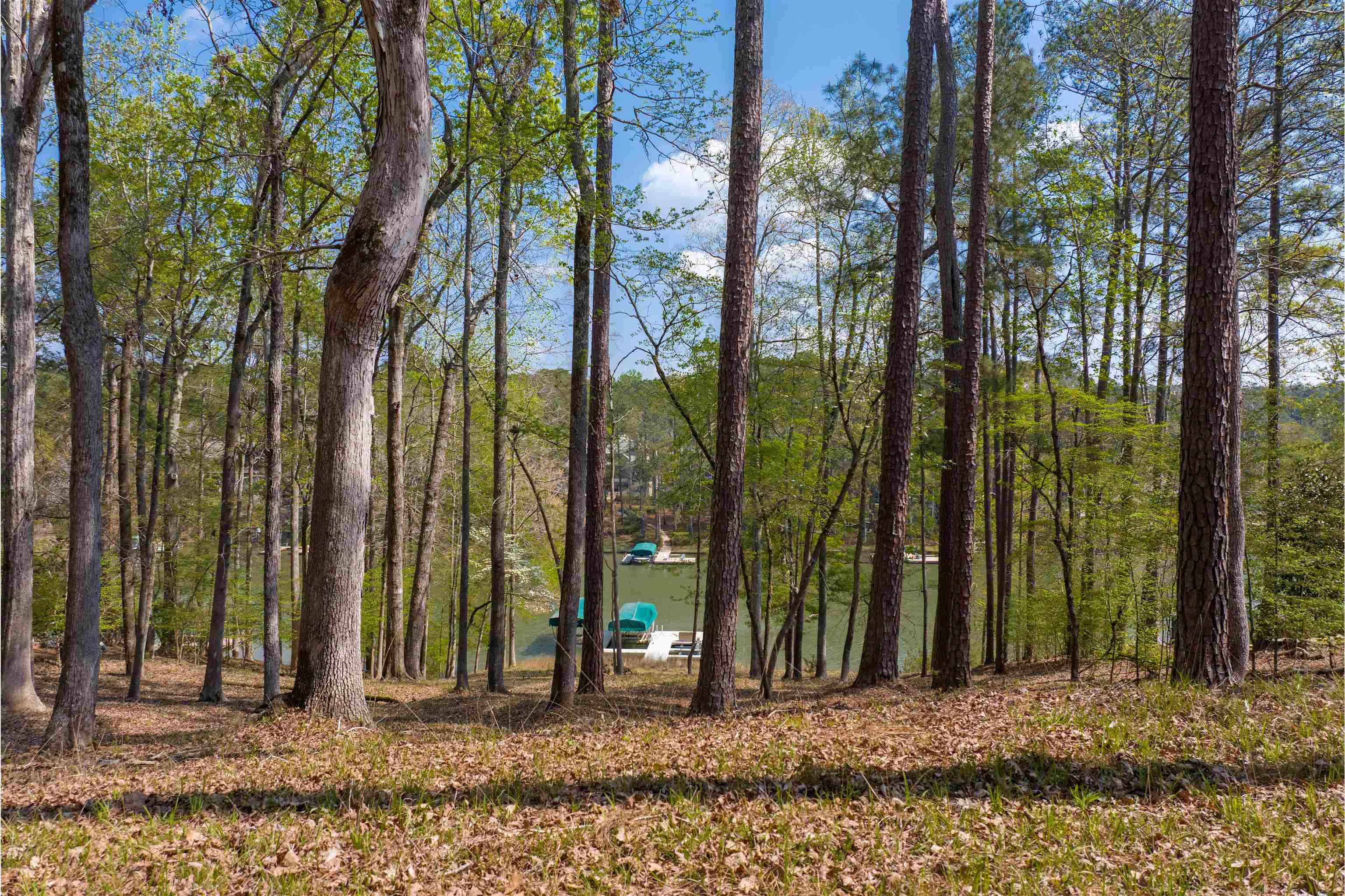 1161 Davison Drive # 41 Property Photo 7