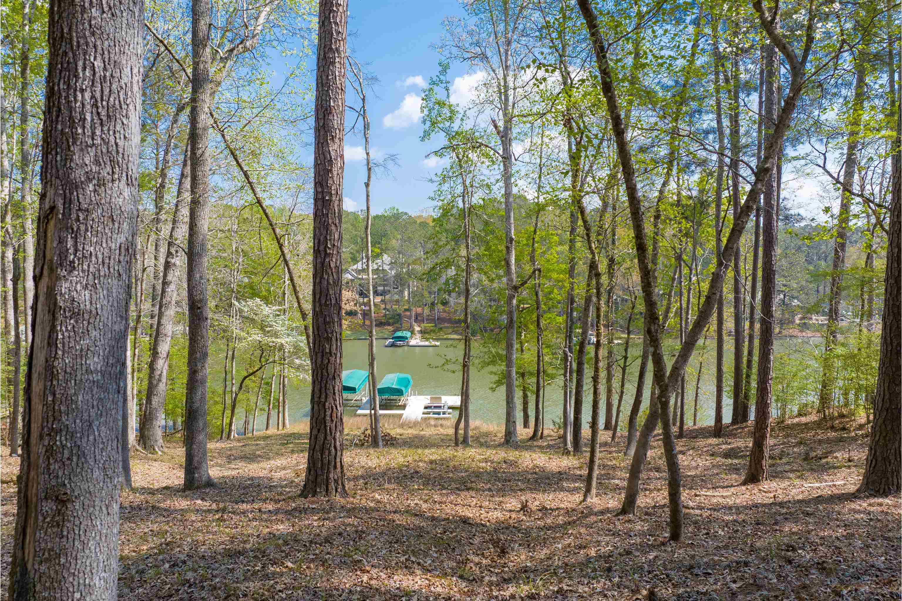 1161 Davison Drive # 41 Property Photo 8