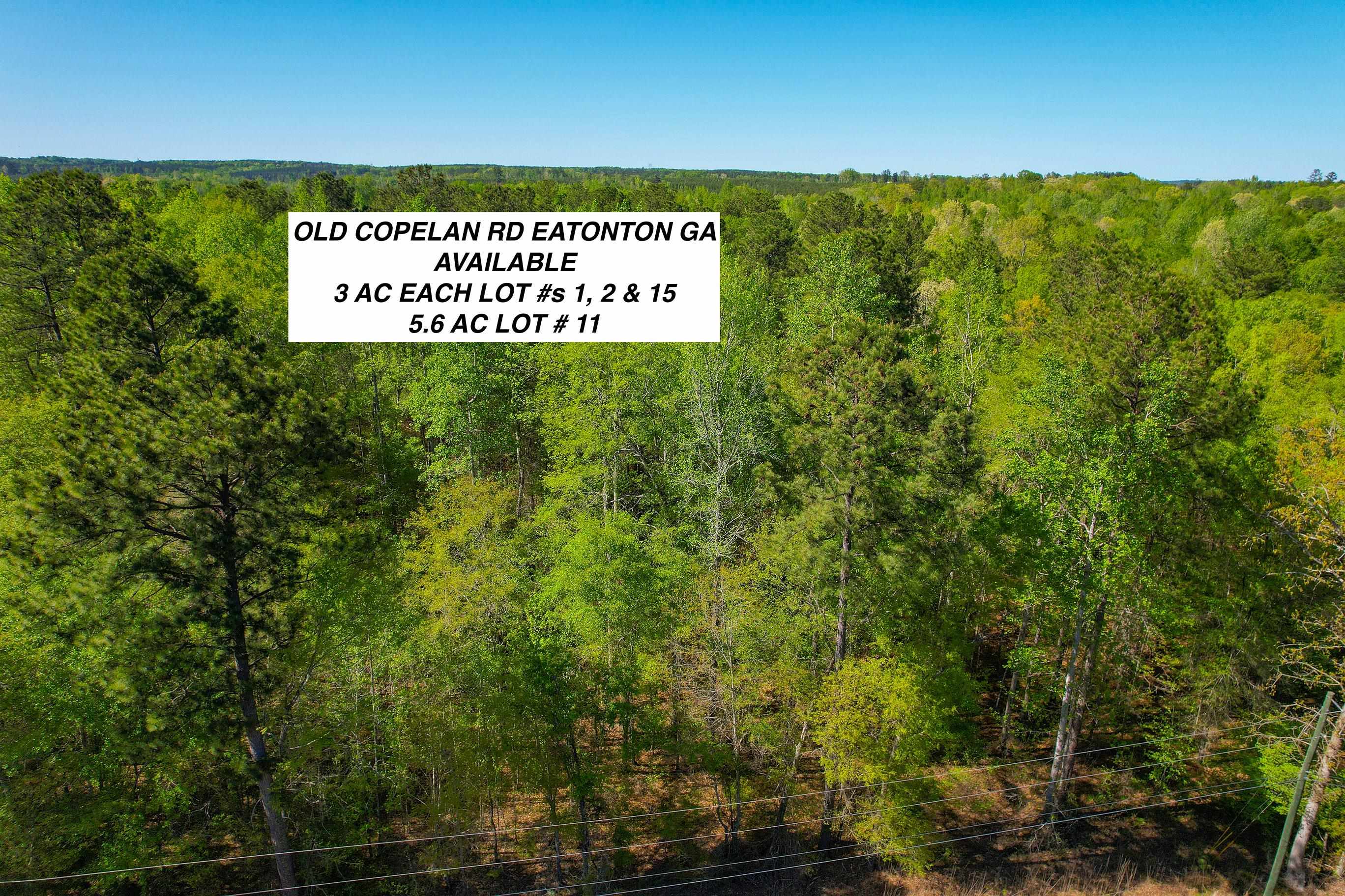 Lot 1 & 2 Old Copelan Road Property Photo 1
