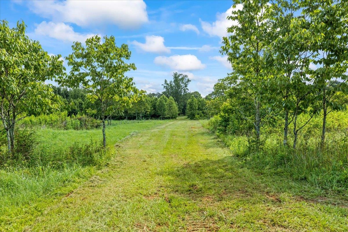 0 Gage Lane # C Property Photo 4
