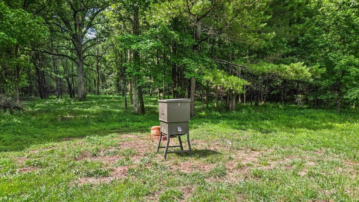 0 Gage Lane # C Property Photo 6