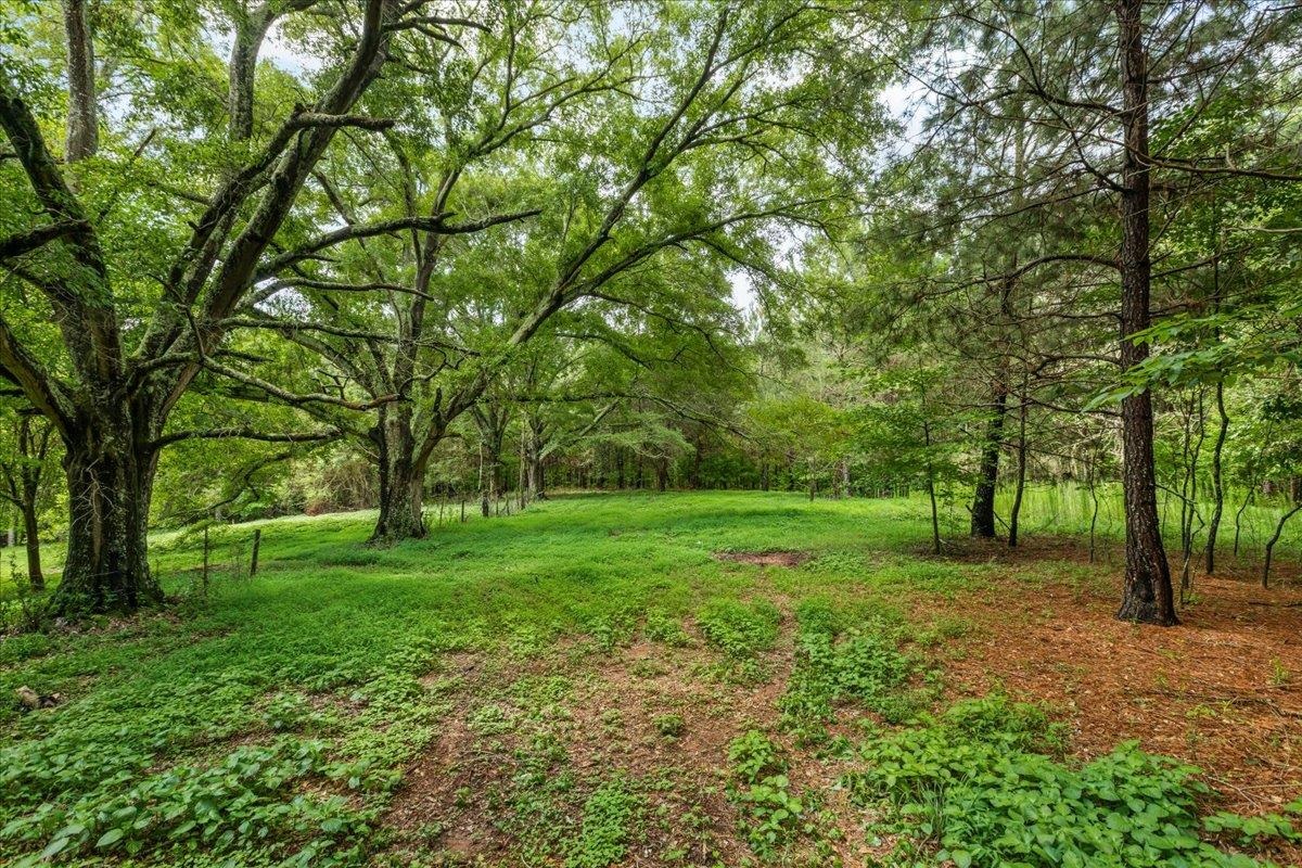 0 Gage Lane # C Property Photo 12
