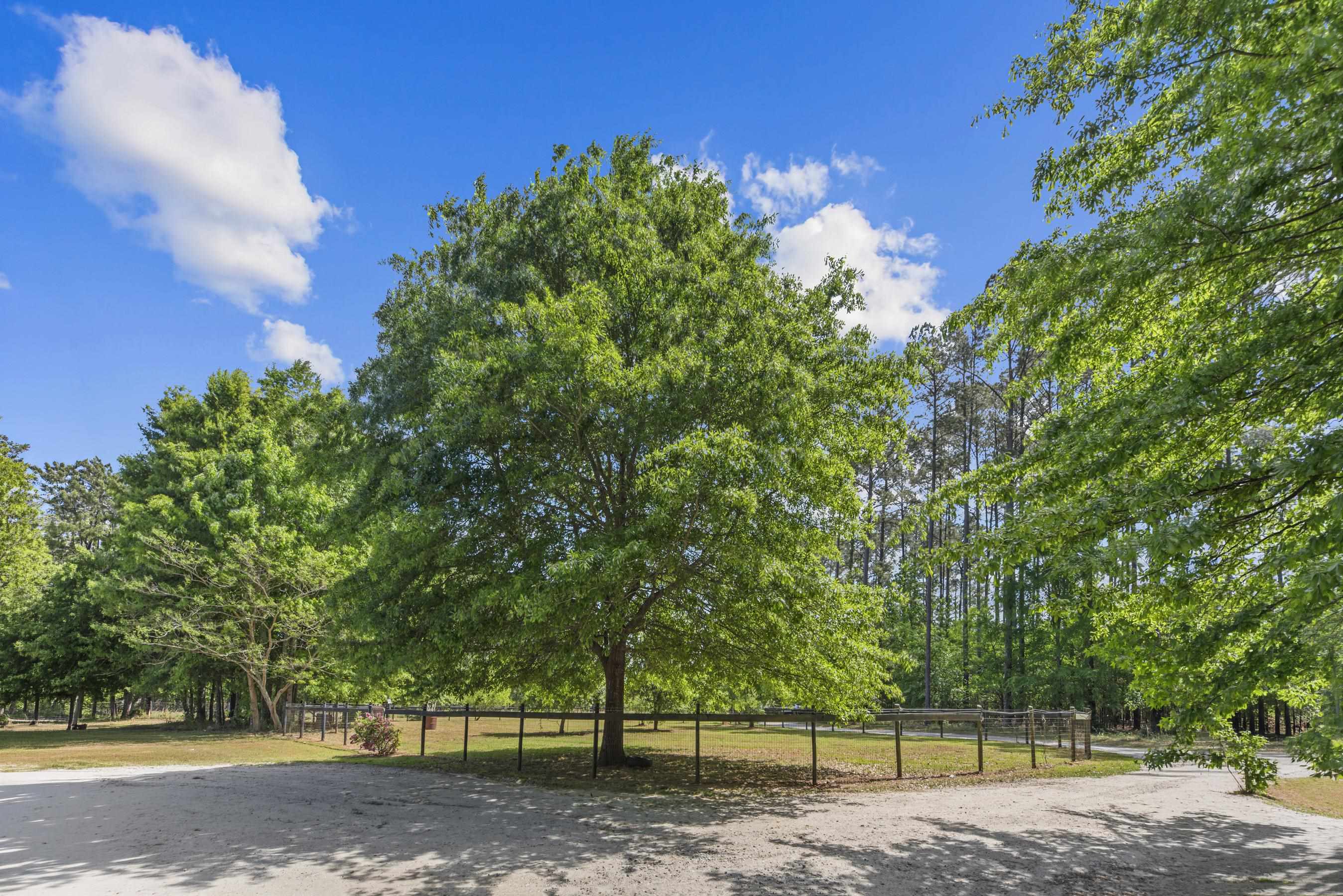 1490 Crawley Road Property Photo 47