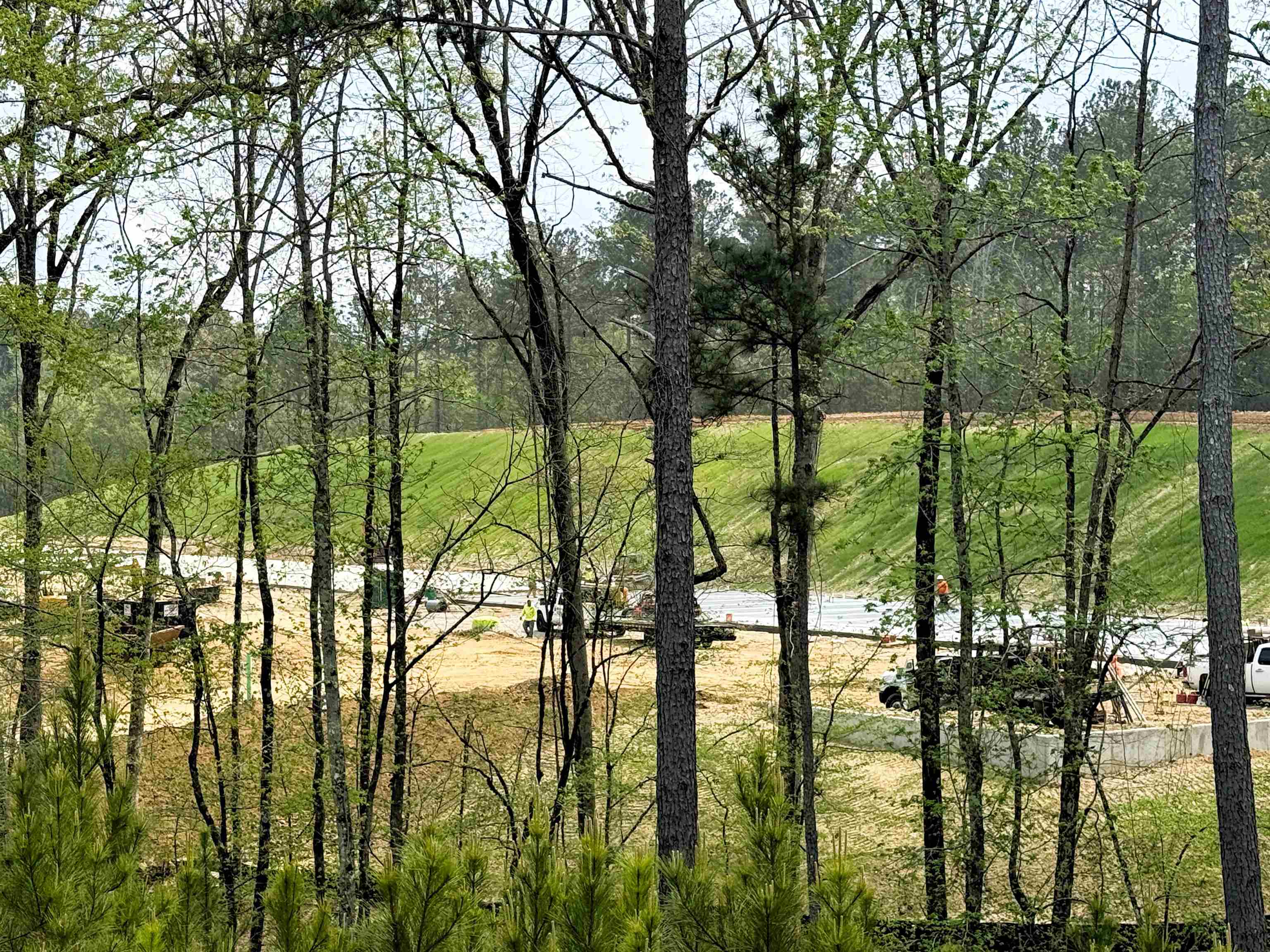 1040 Park Ct Property Photo 12