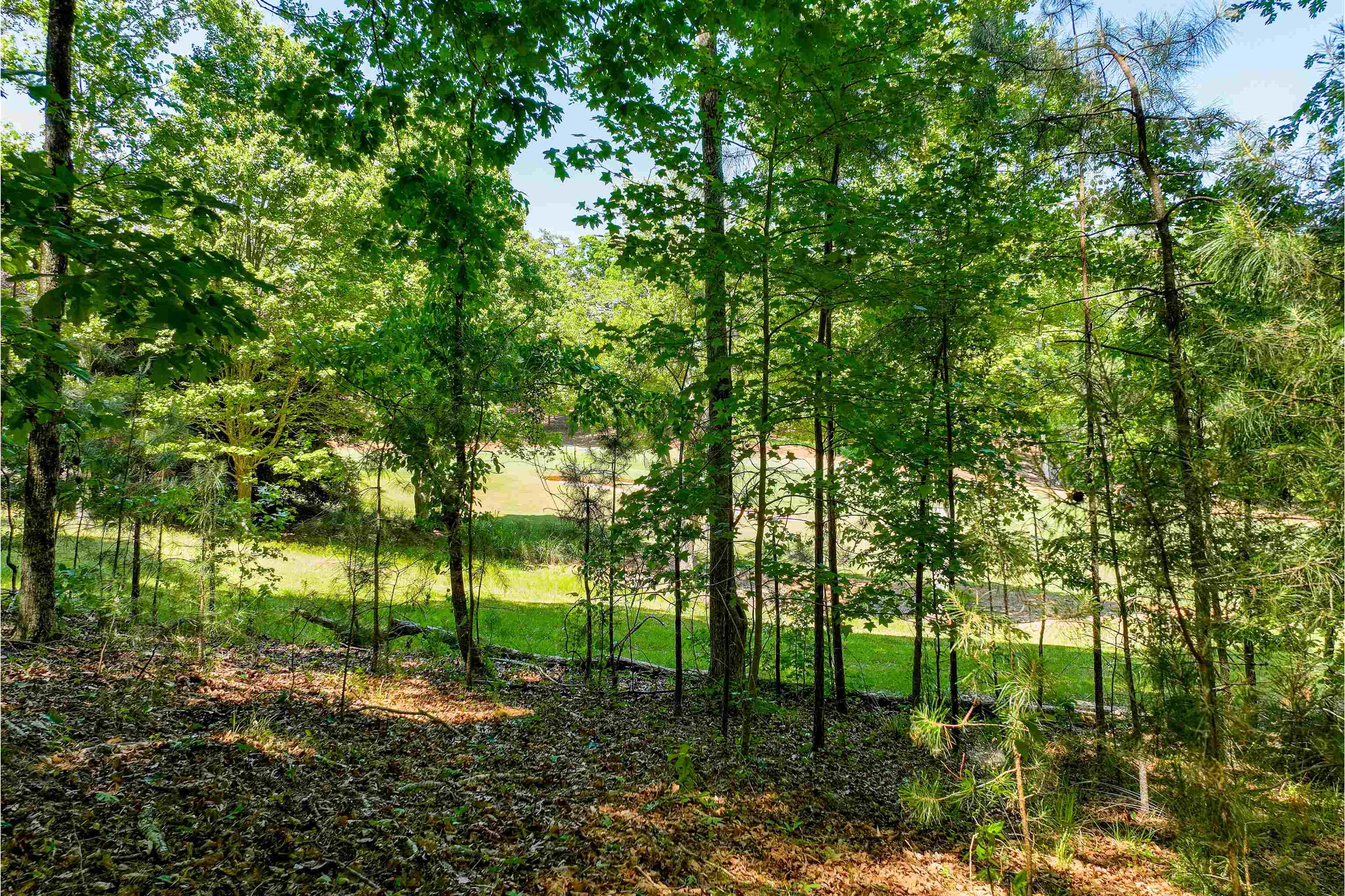 1000 Curtright Place # 37a Property Photo 6