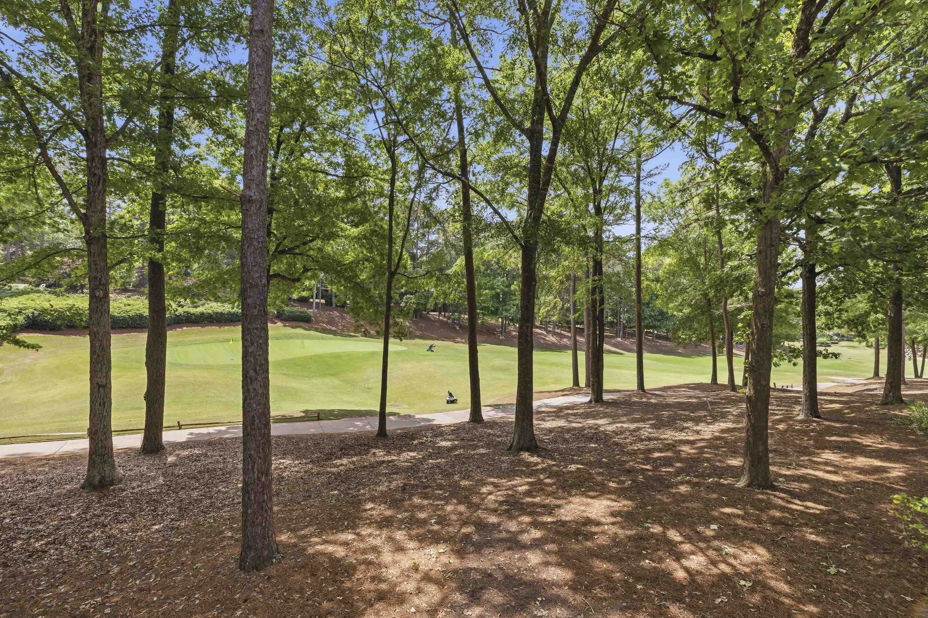 1039 Planters Trail Property Photo 12