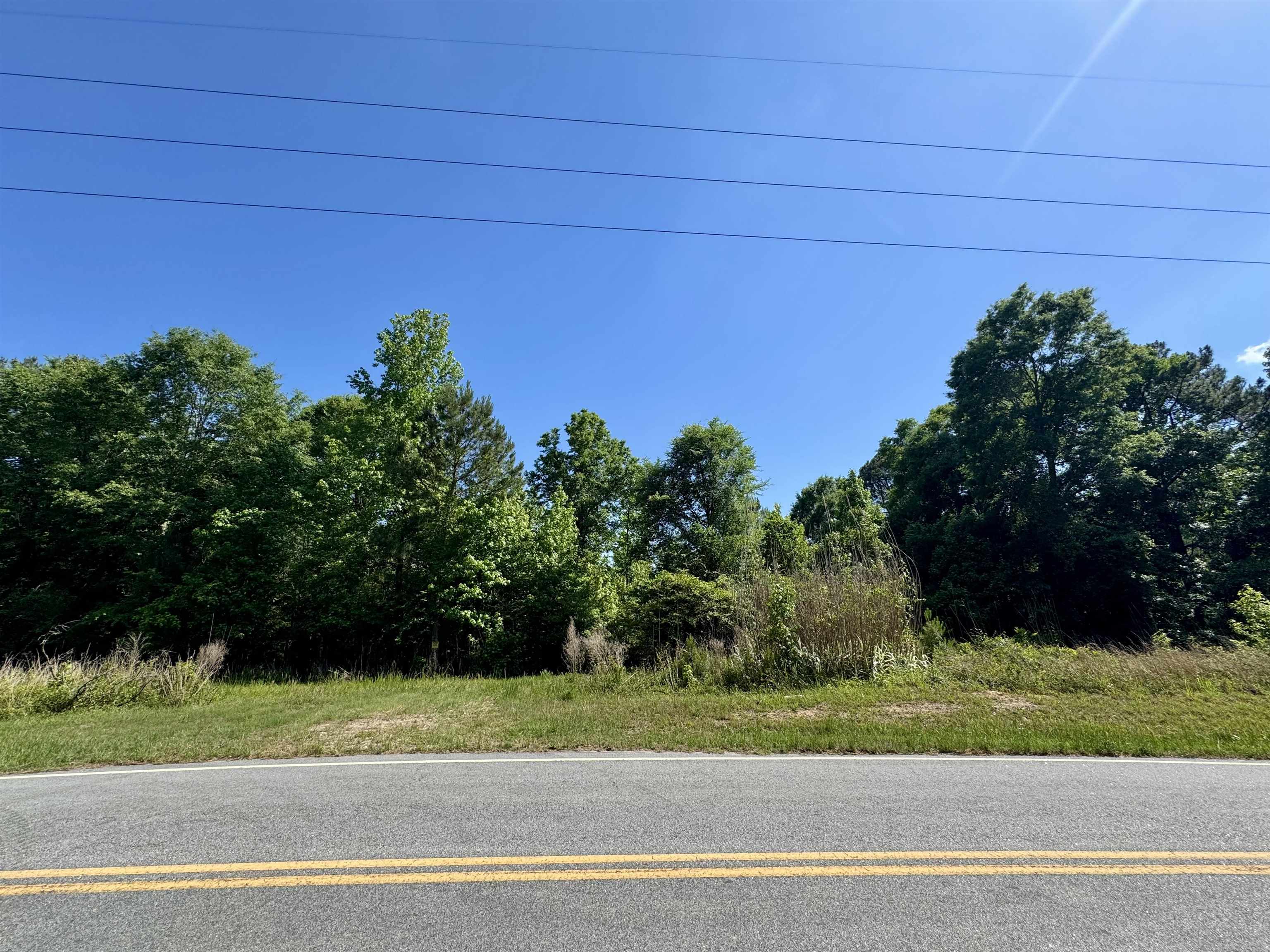 38.59 Acres Leslie Mill Road # 2 Property Photo 7