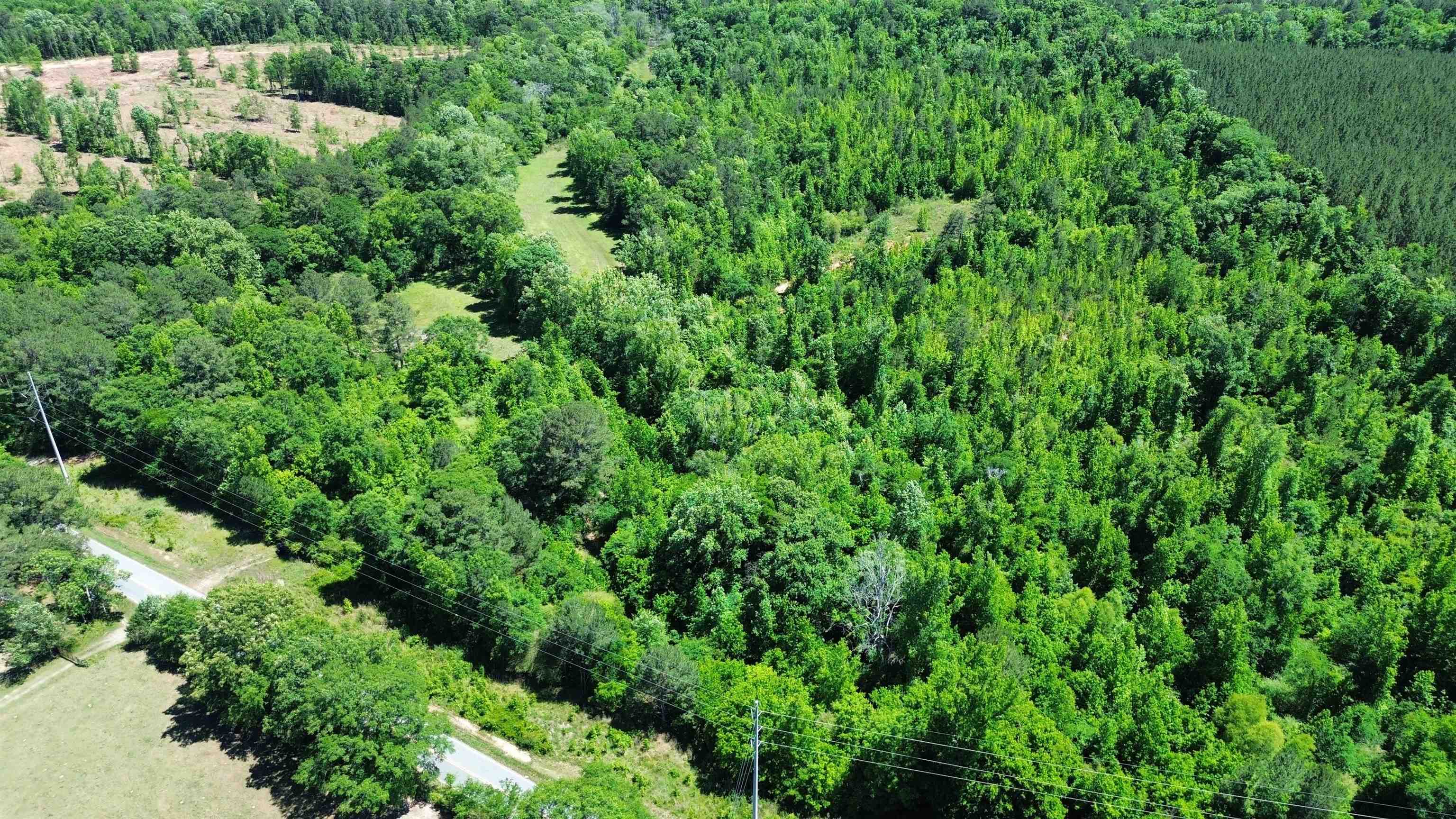 38.59 Acres Leslie Mill Road # 2 Property Photo 8
