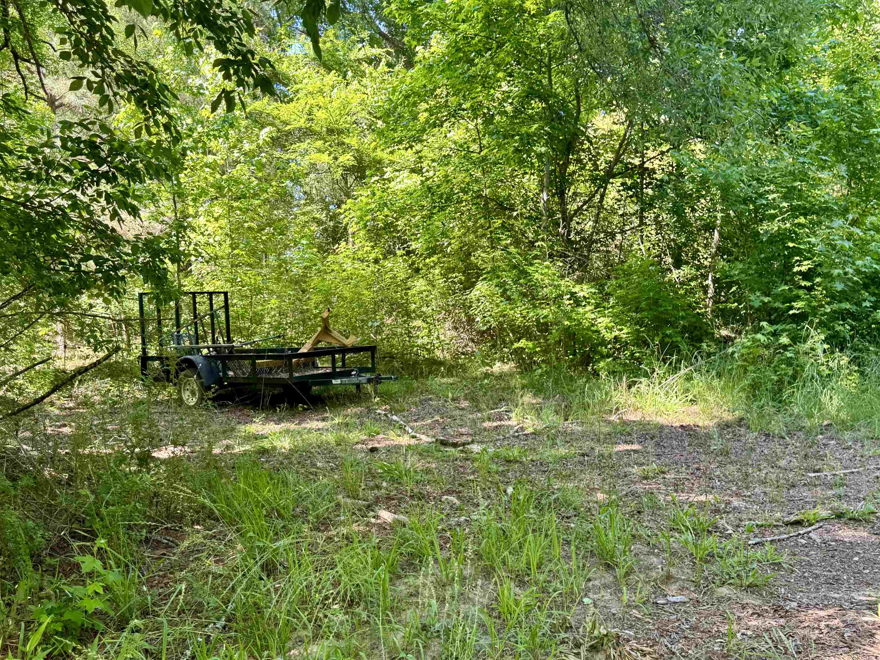 38.59 Acres Leslie Mill Road # 2 Property Photo 9