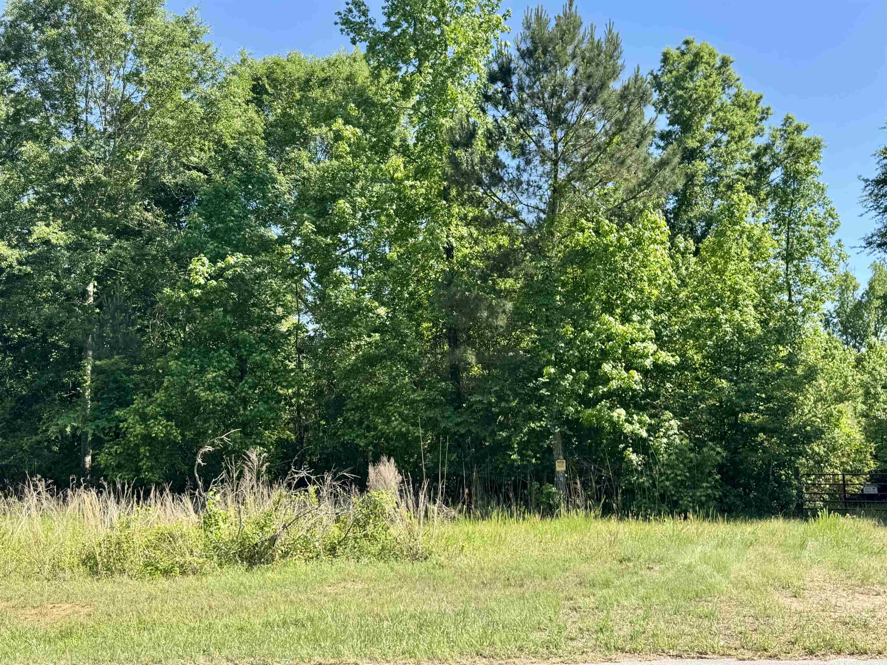 38.59 Acres Leslie Mill Road # 2 Property Photo 11