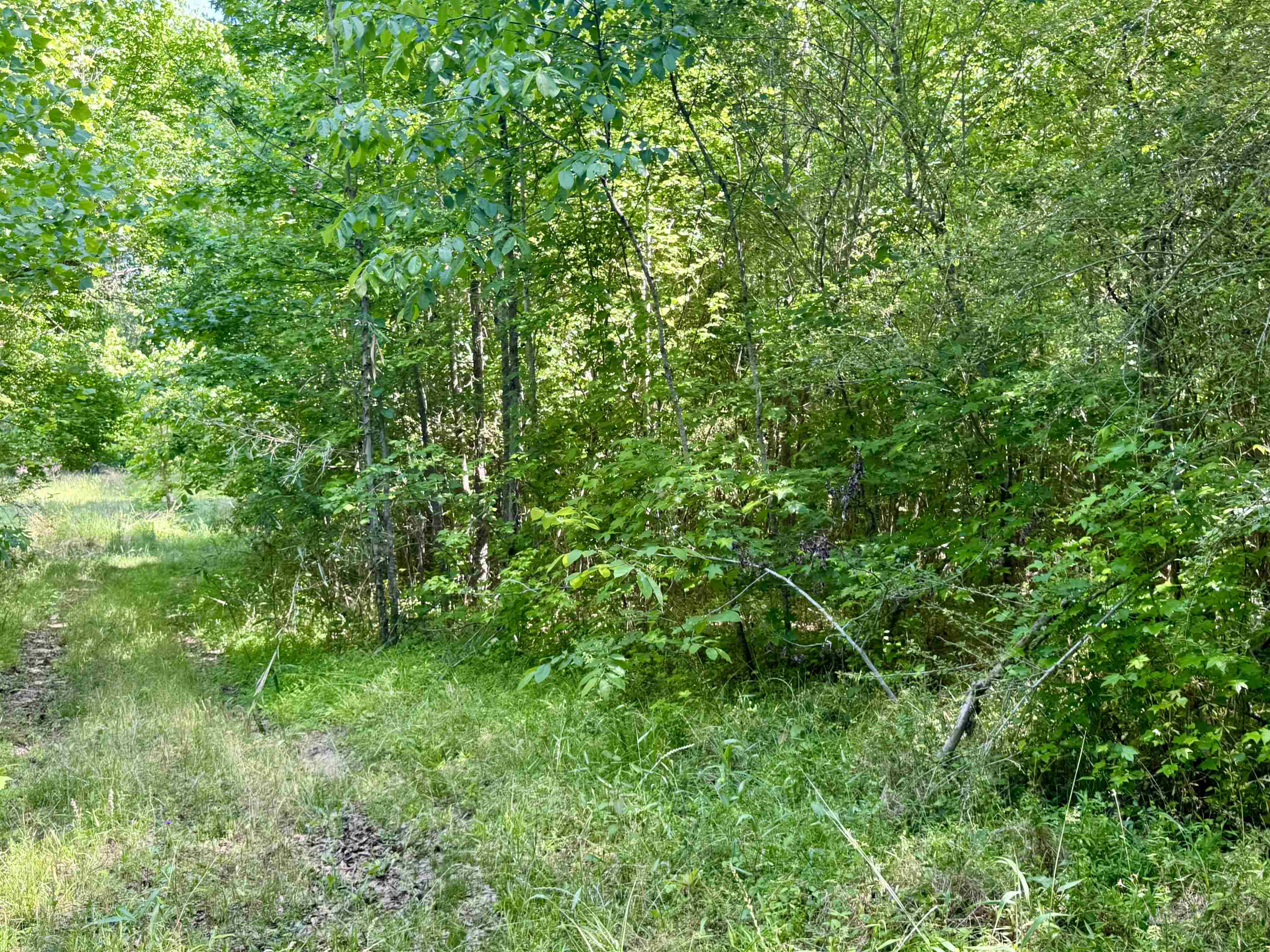 38.59 Acres Leslie Mill Road # 2 Property Photo 15