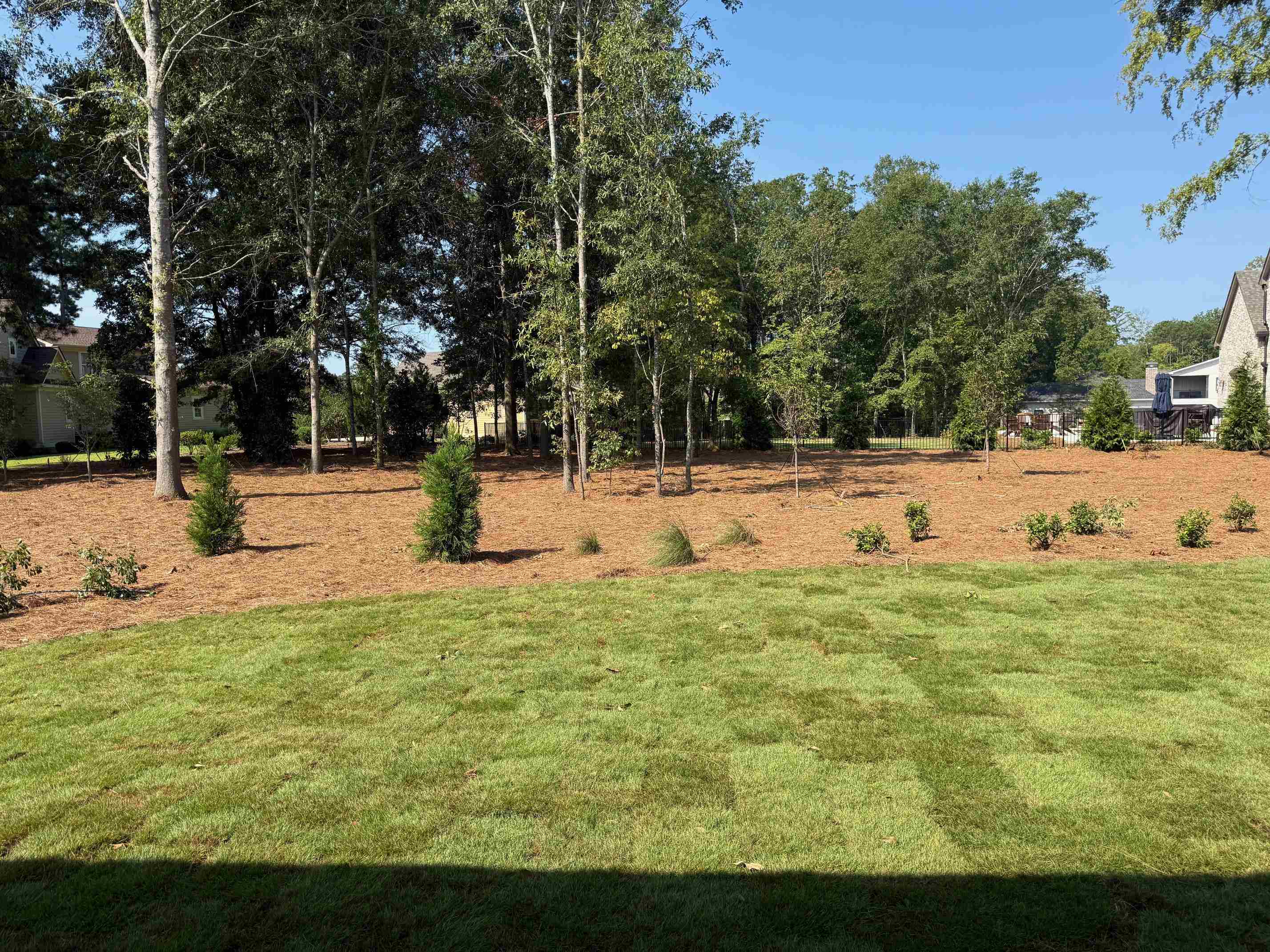 203 Eagles Way Property Photo 3