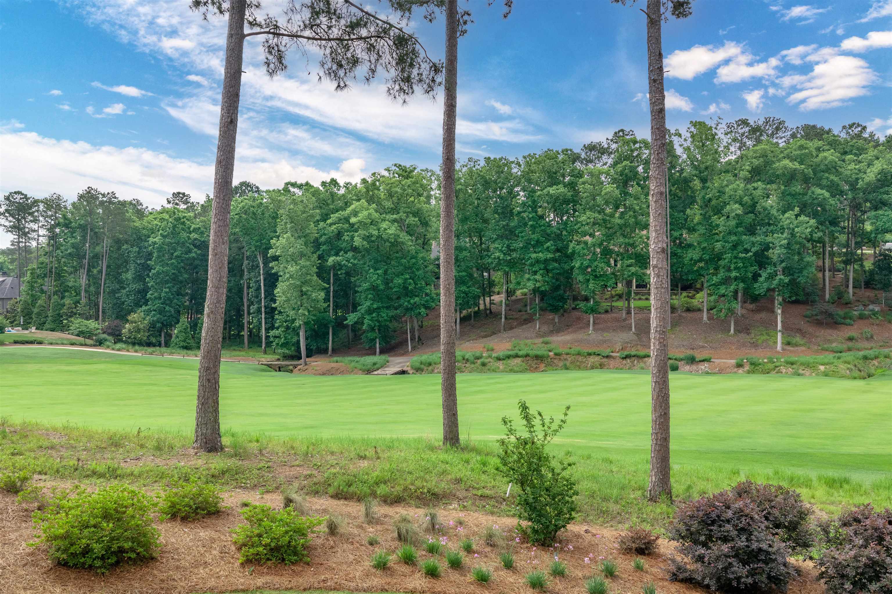 1050 Woodham Creek Property Photo 45