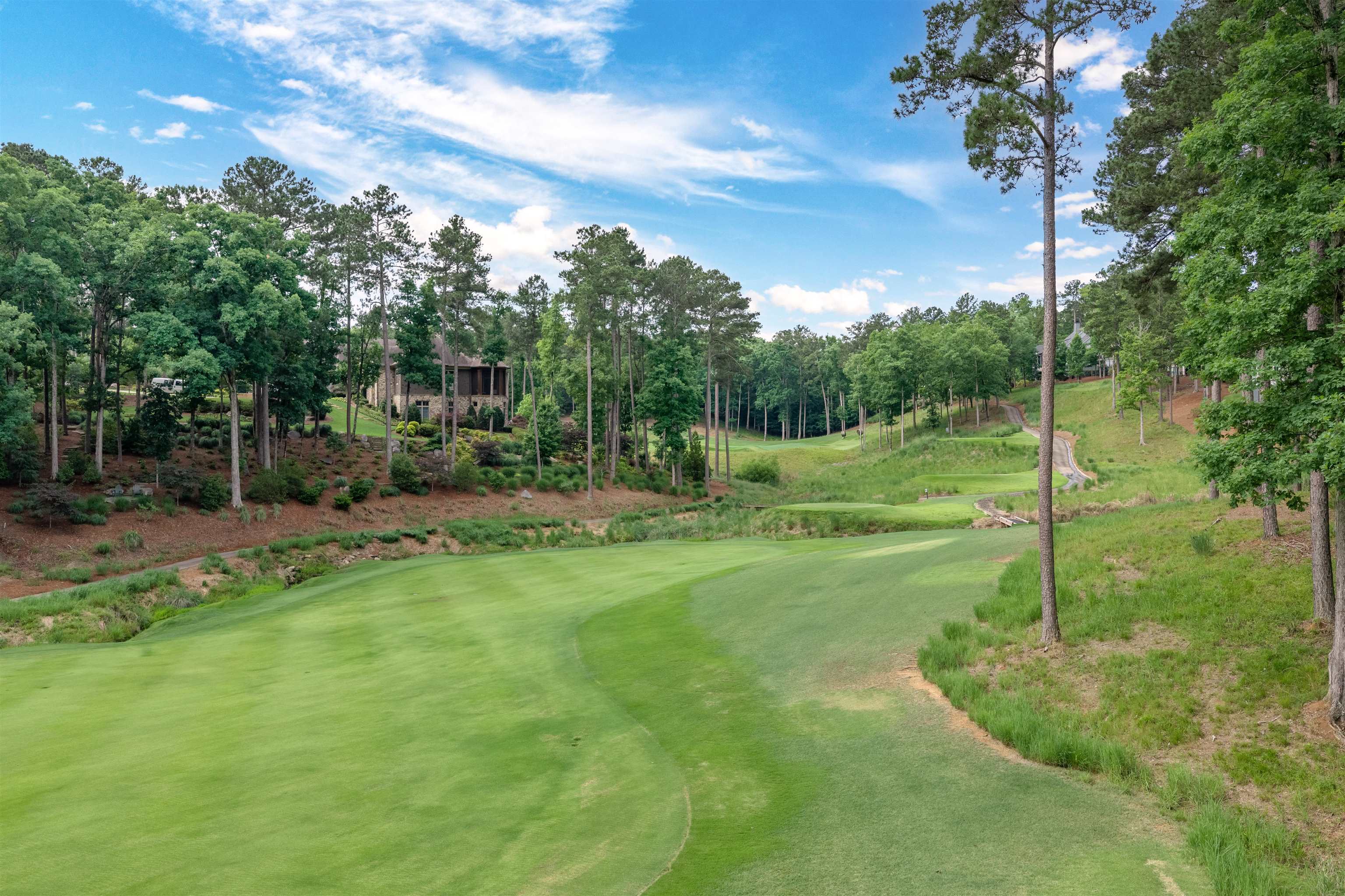 1050 Woodham Creek Property Photo 46