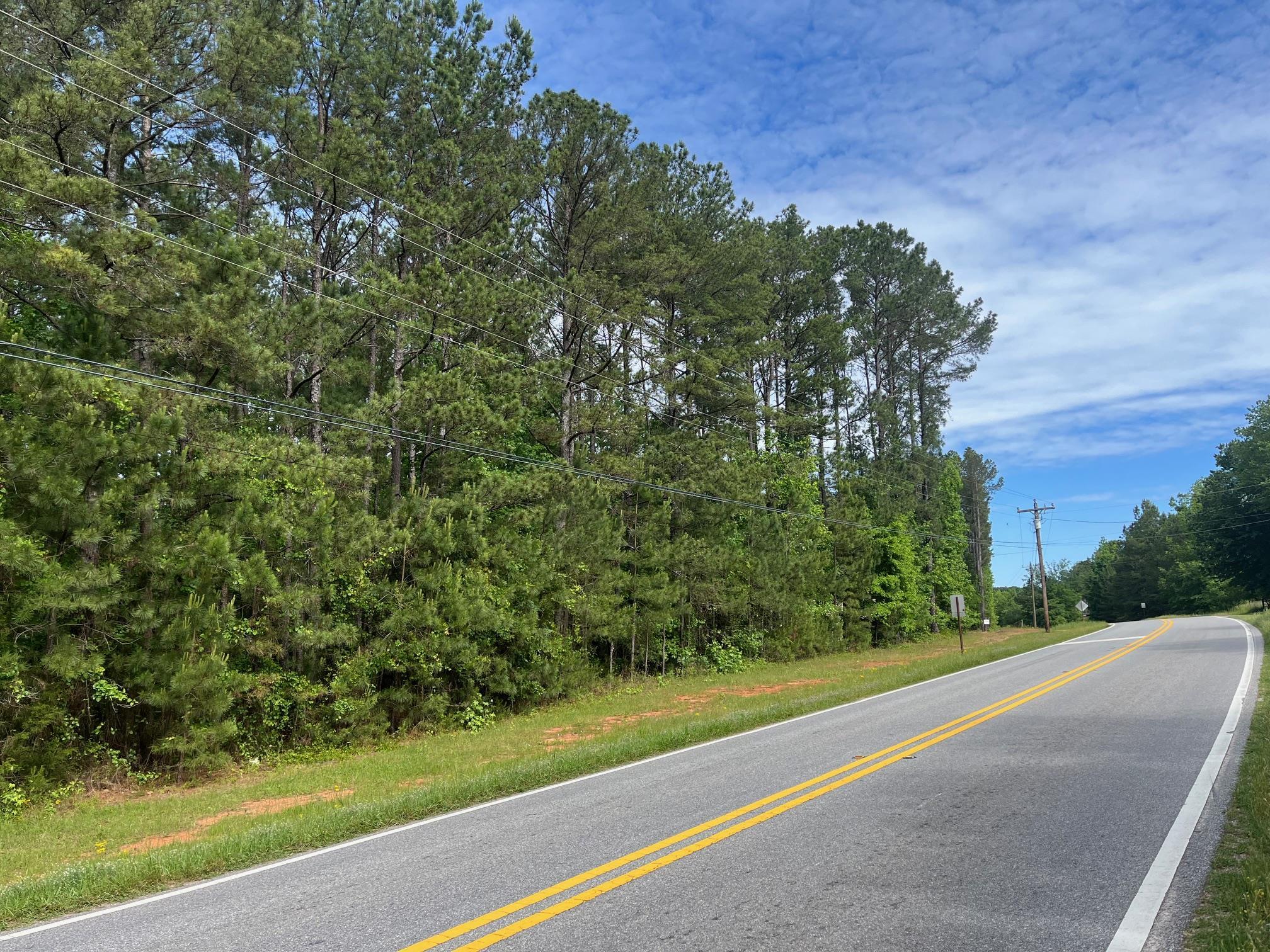 3.5 +/- Acres New Phoenix Road Property Photo 2