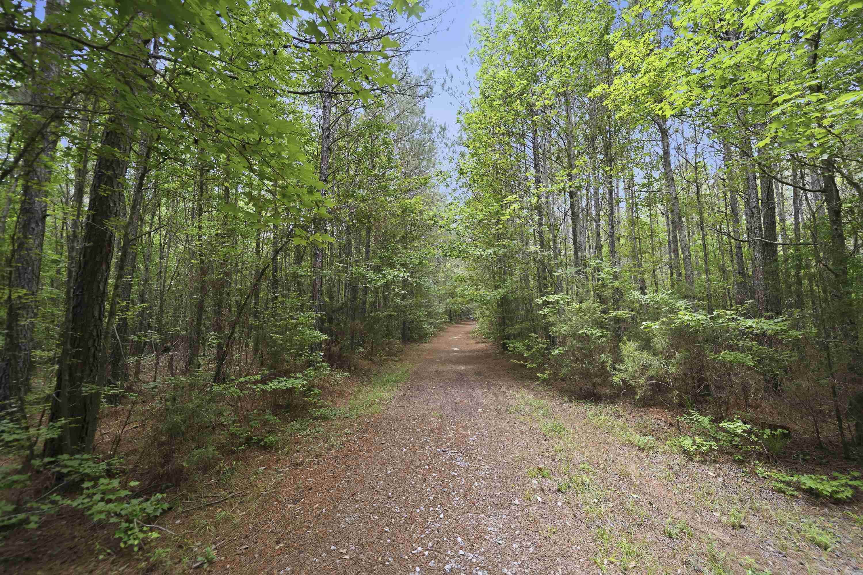 0 Pear Orchard Road # 0 Property Photo 2