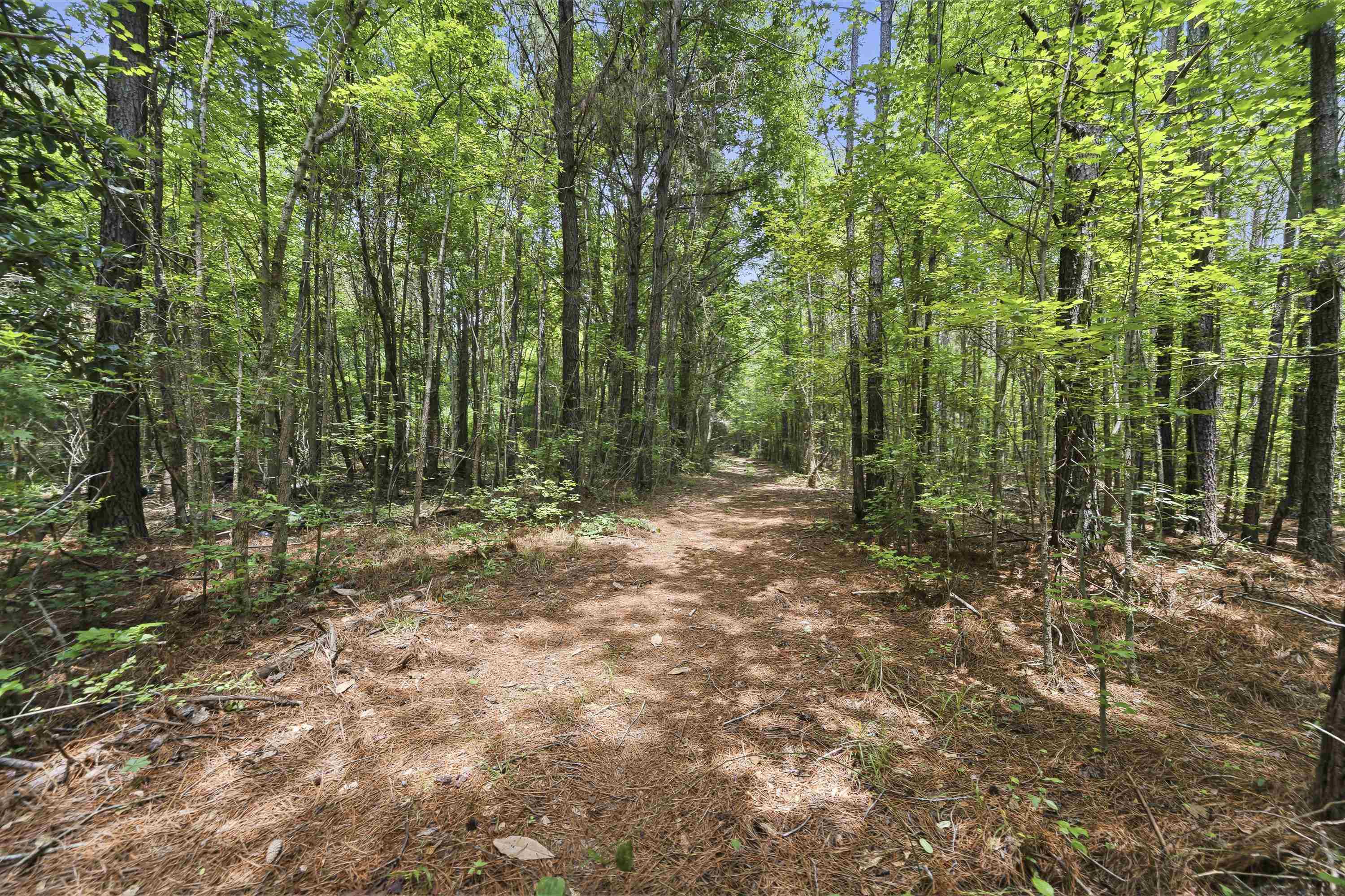 0 Pear Orchard Road # 0 Property Photo 3