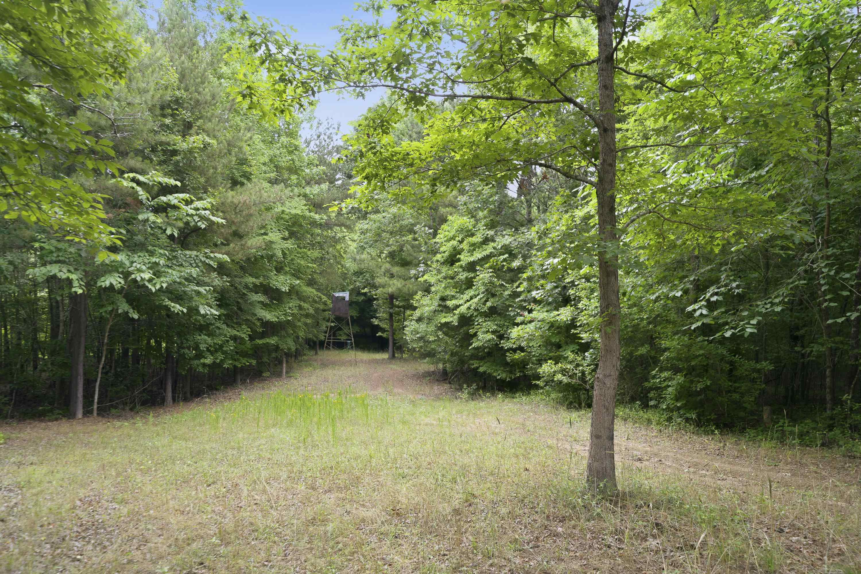 0 Pear Orchard Road # 0 Property Photo 11