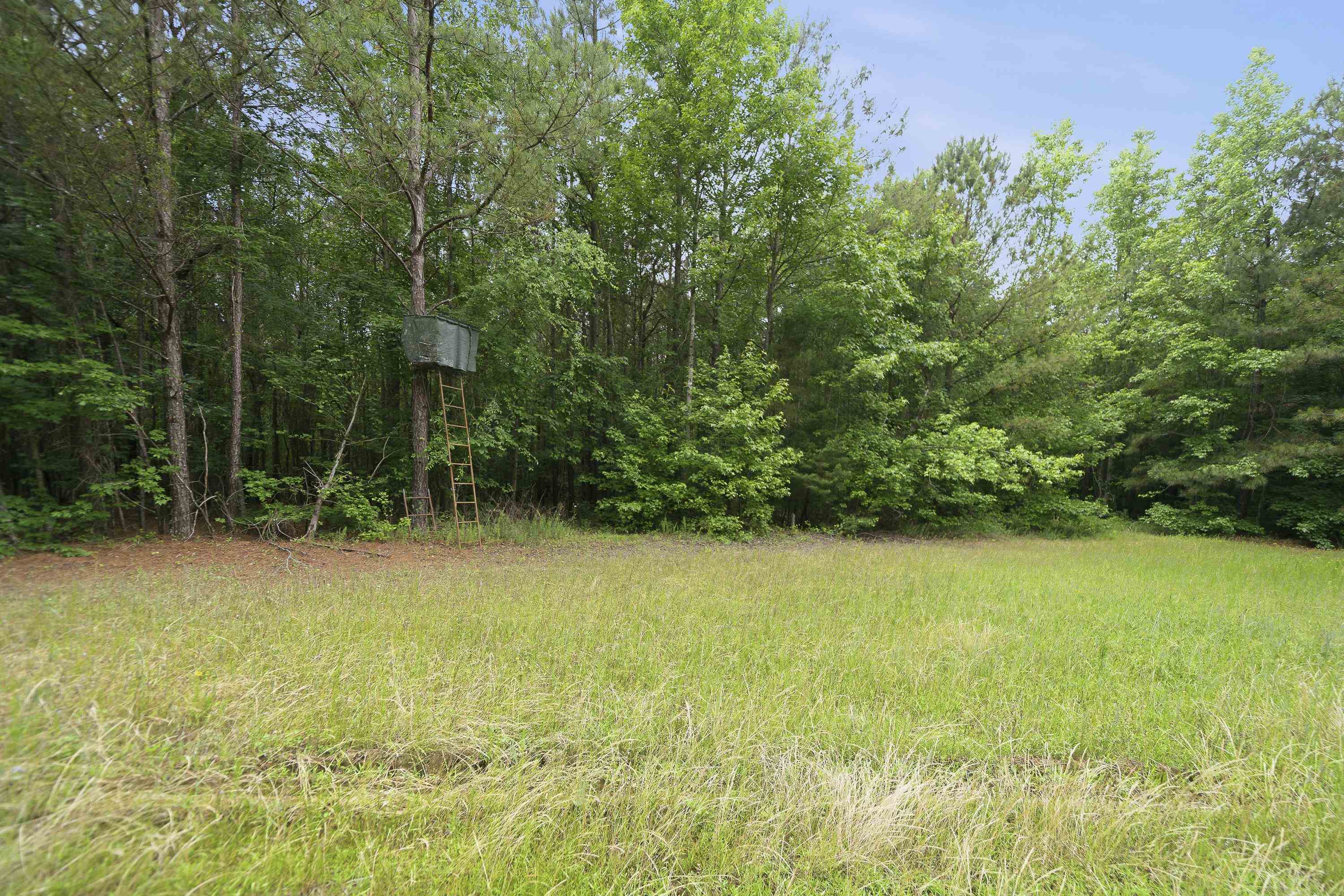 0 Pear Orchard Road # 0 Property Photo 12