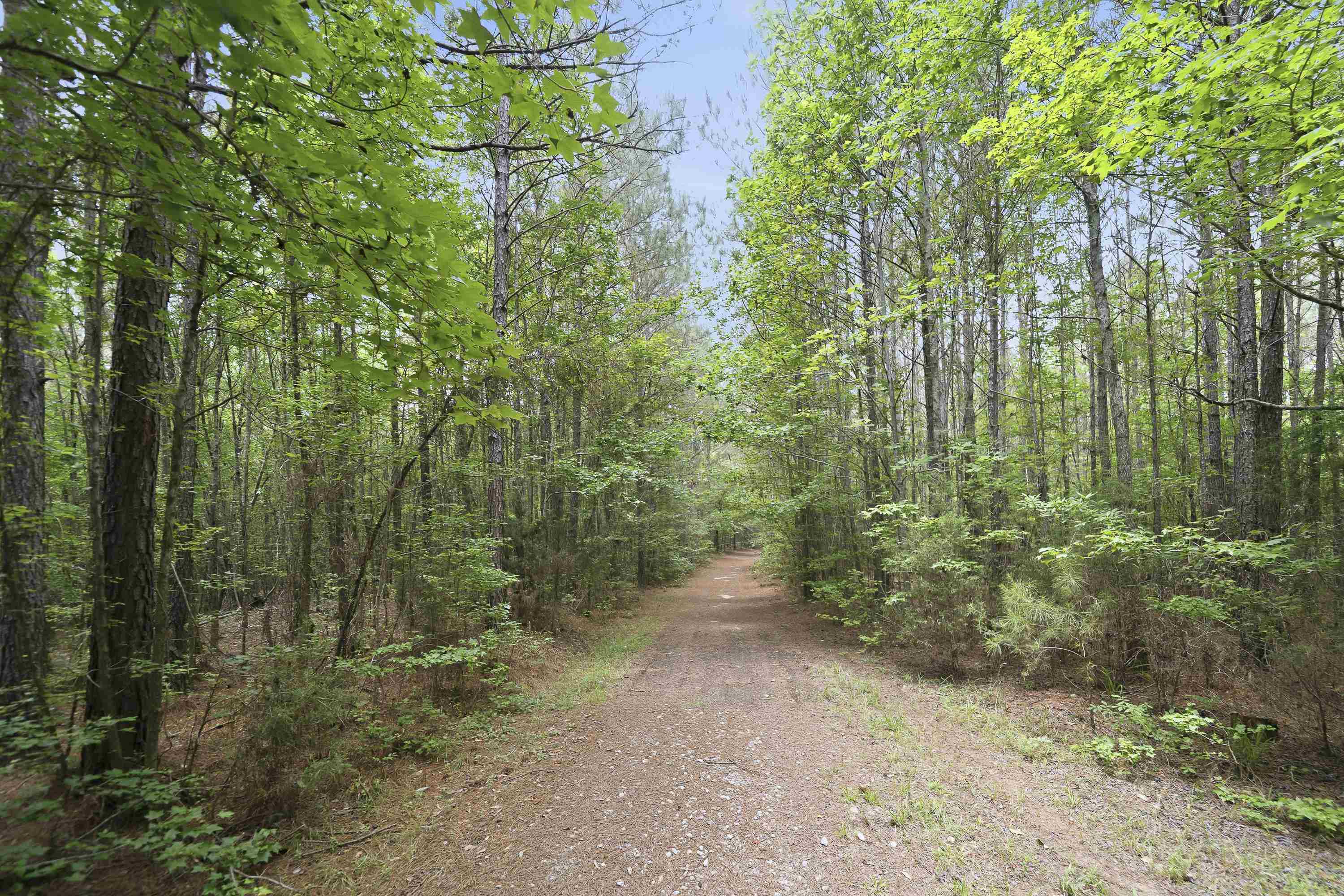 0 Pear Orchard Road # 0 Property Photo 13