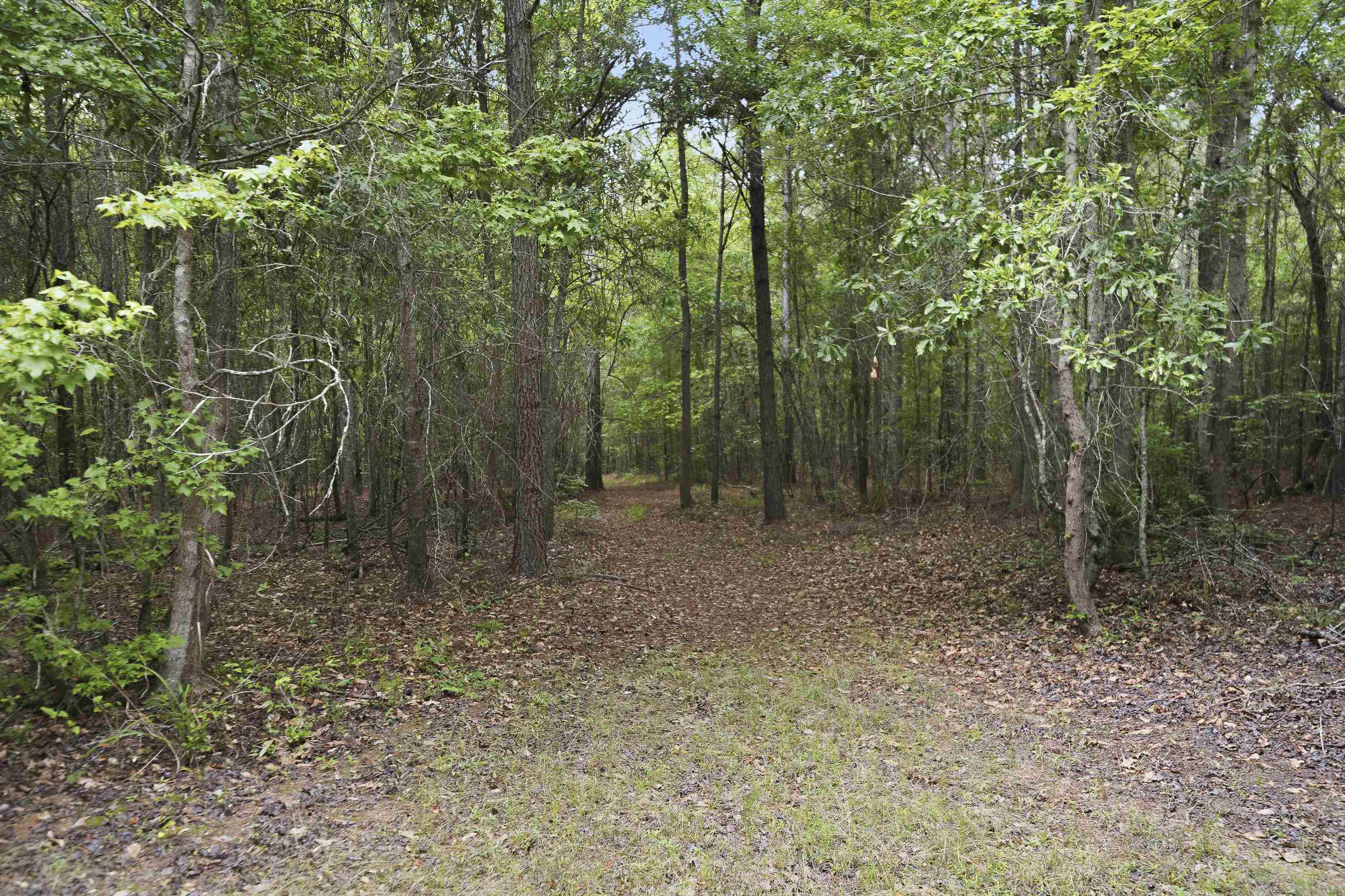 0 Pear Orchard Road # 0 Property Photo 18