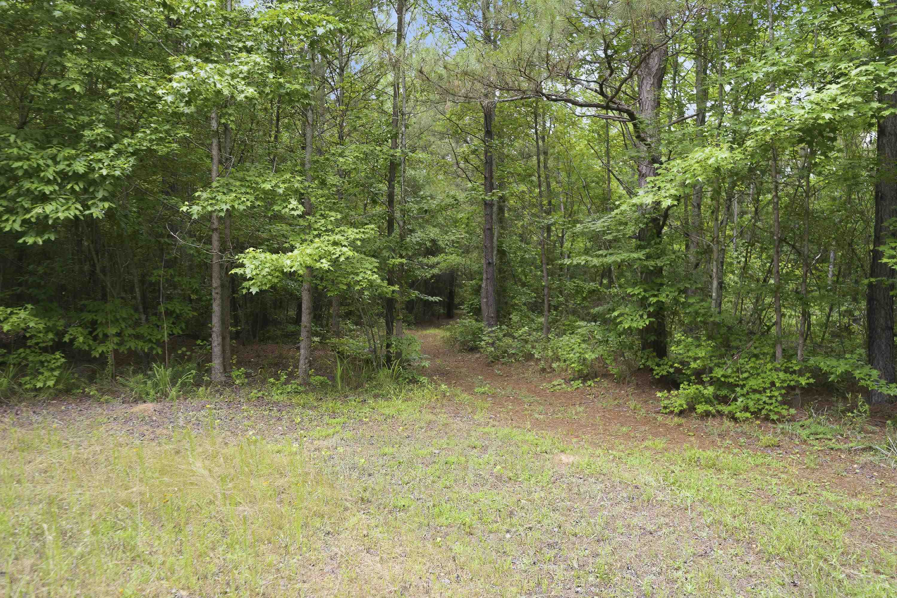 0 Pear Orchard Road # 0 Property Photo 19