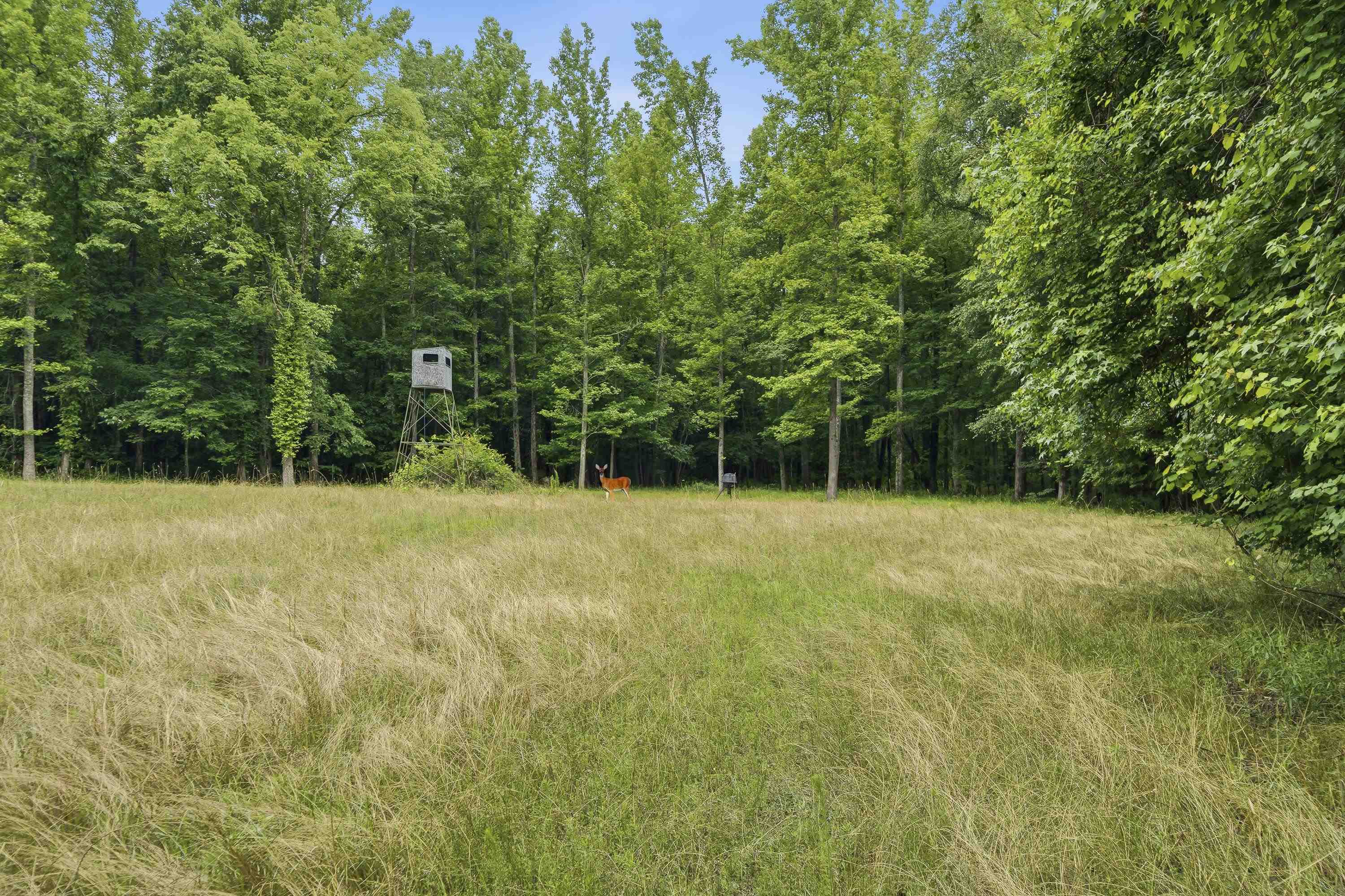 0 Pear Orchard Road # 0 Property Photo 21