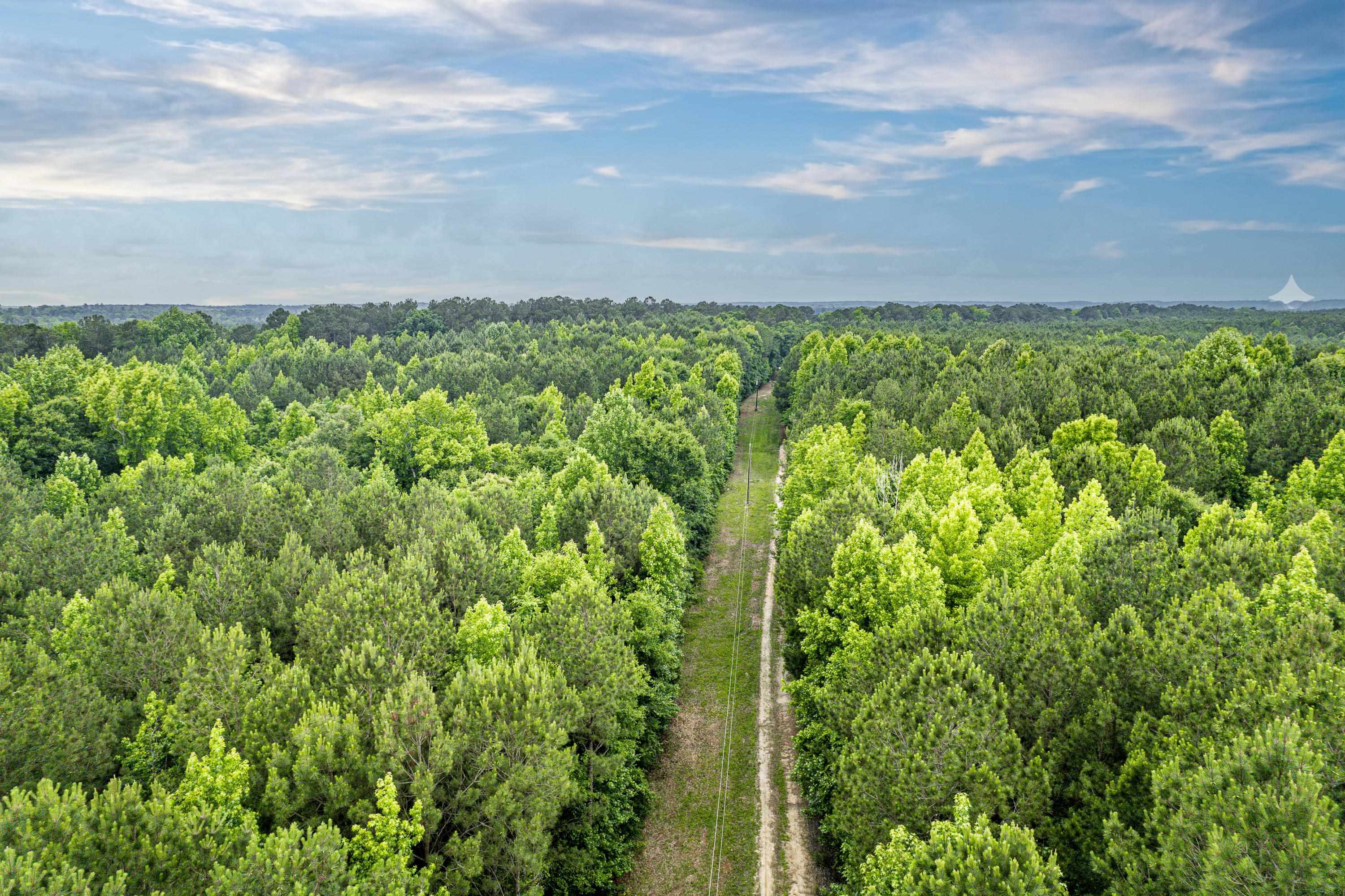 0 Pear Orchard Road # 0 Property Photo 34