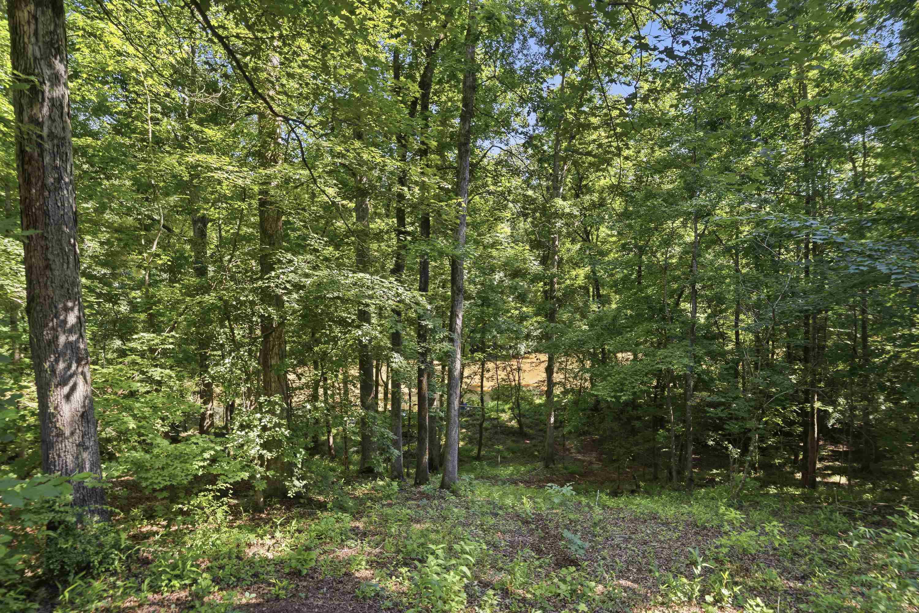 216 River Oak Drive Property Photo 5
