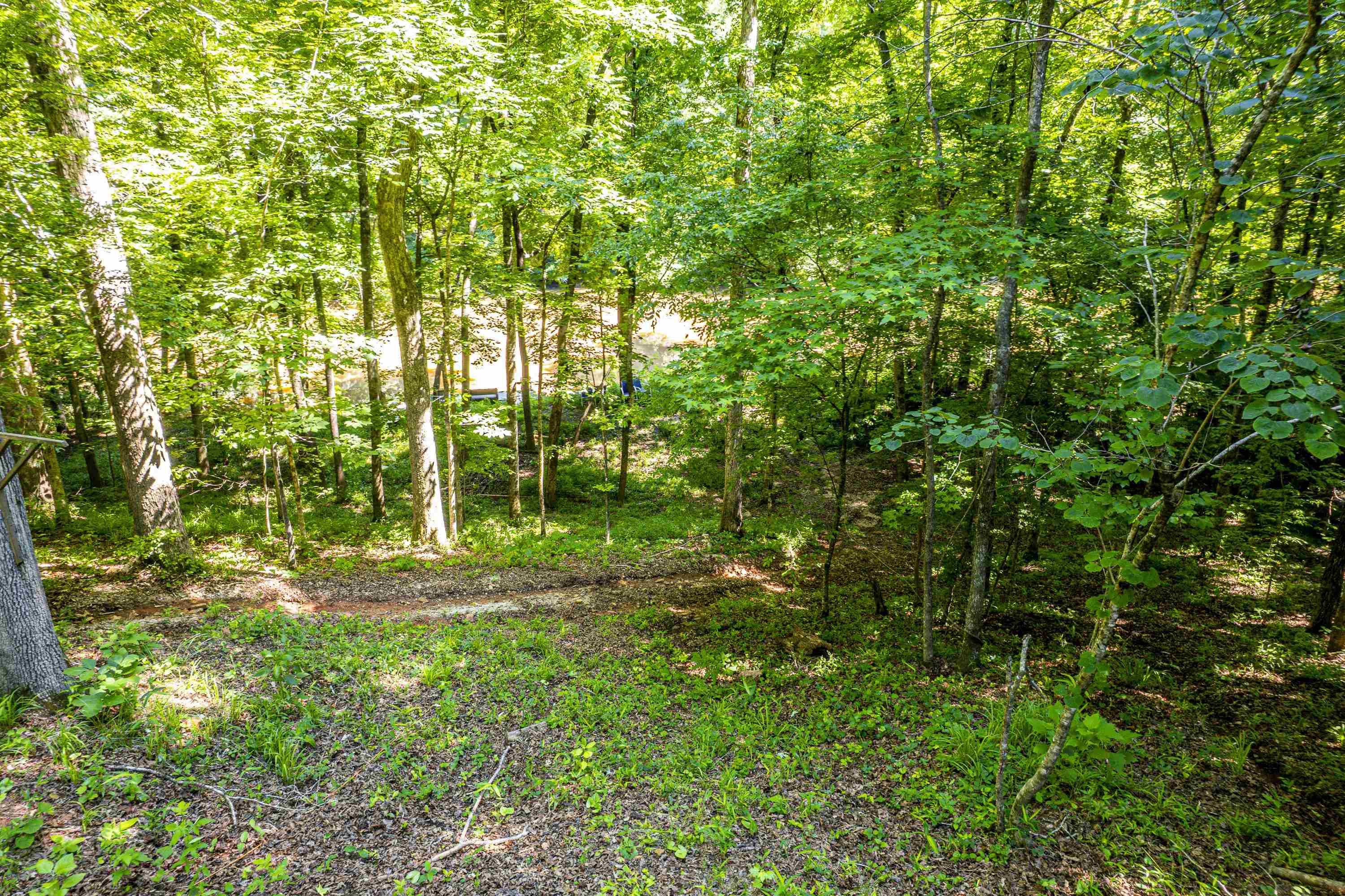 216 River Oak Drive Property Photo 35