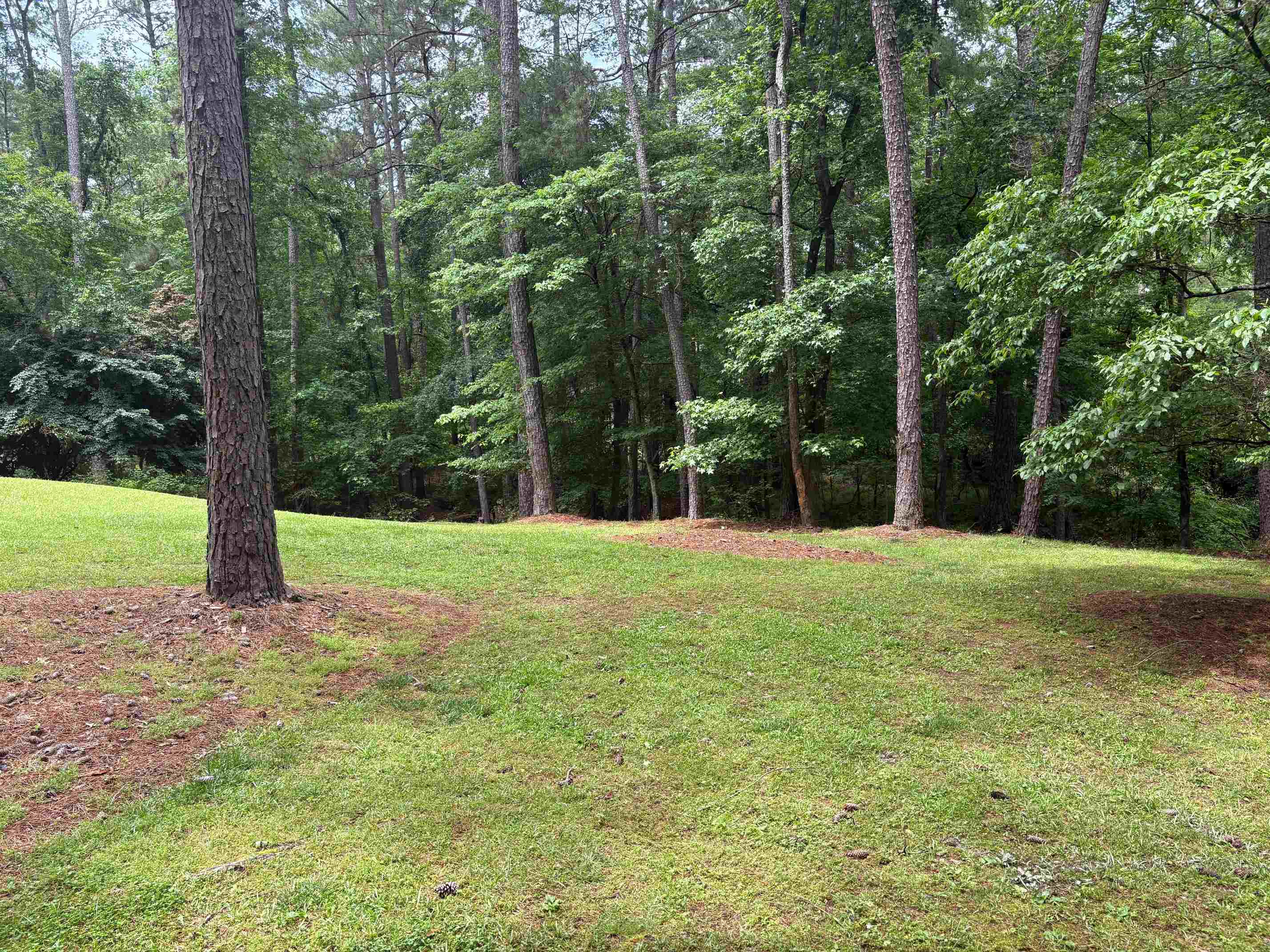 129 Sebastian Drive Property Photo 20