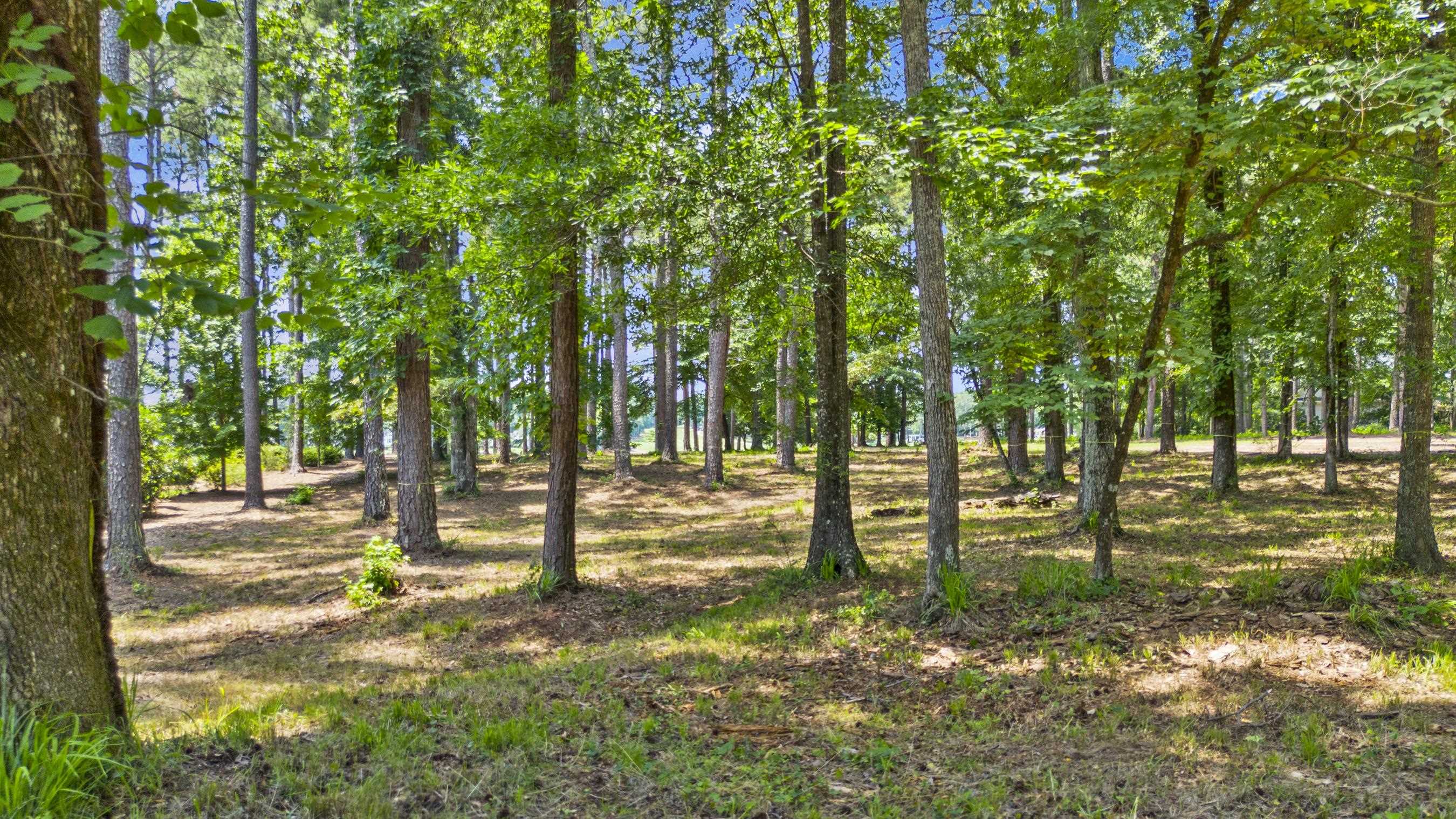 136 Porterfield Drive # 36 Property Photo 15