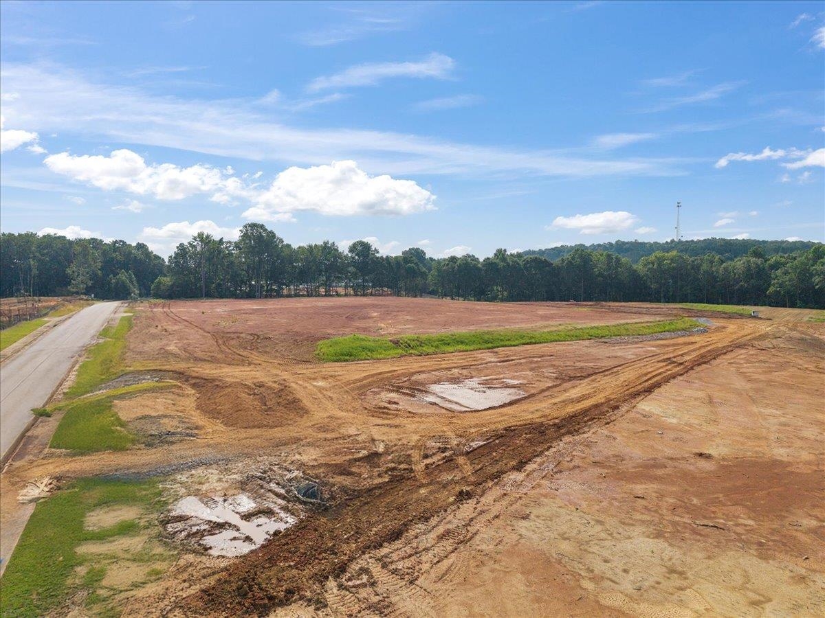 Lot 9 Town Creek Boulevard Property Photo 10