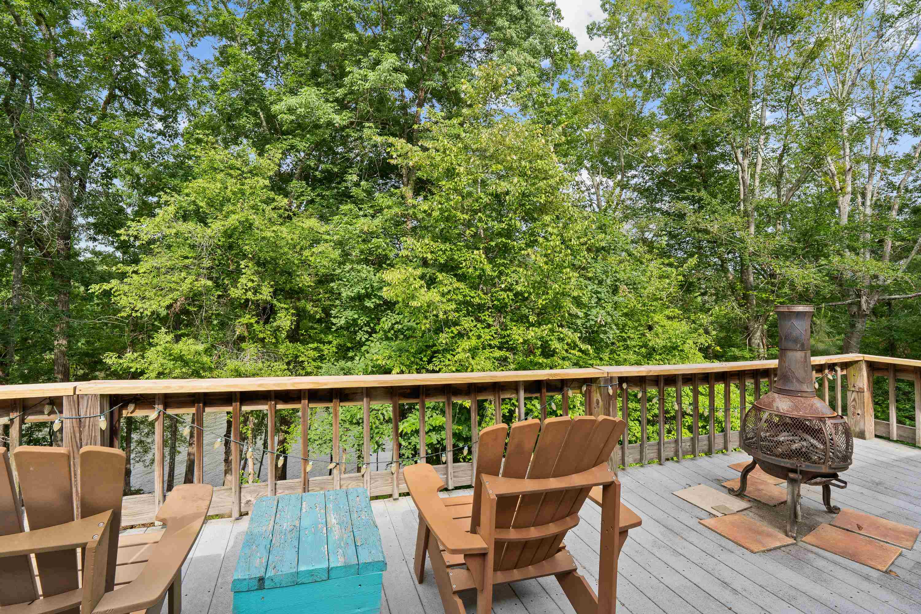 736 Susan Davis Road Property Photo 38