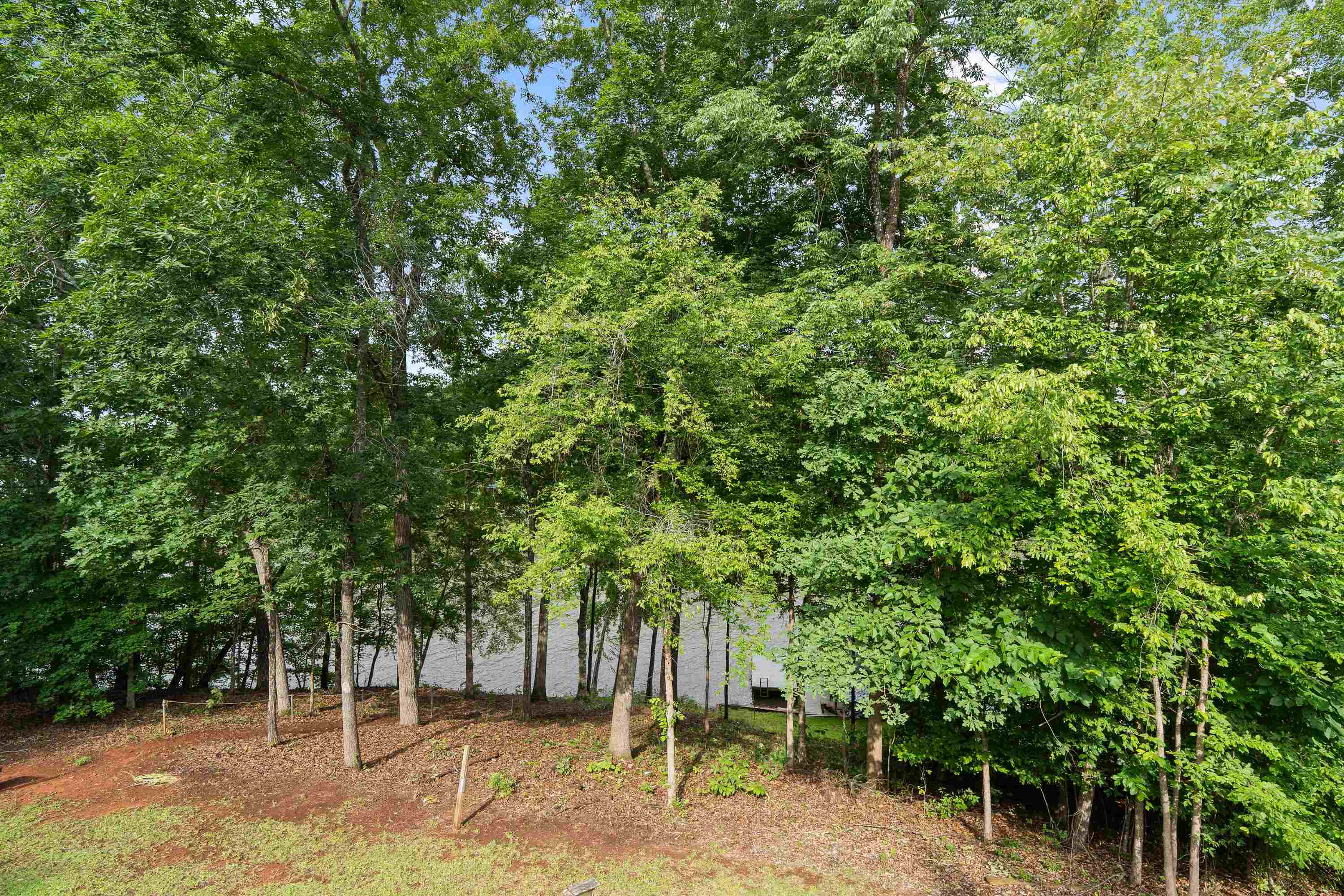 736 Susan Davis Road Property Photo 40
