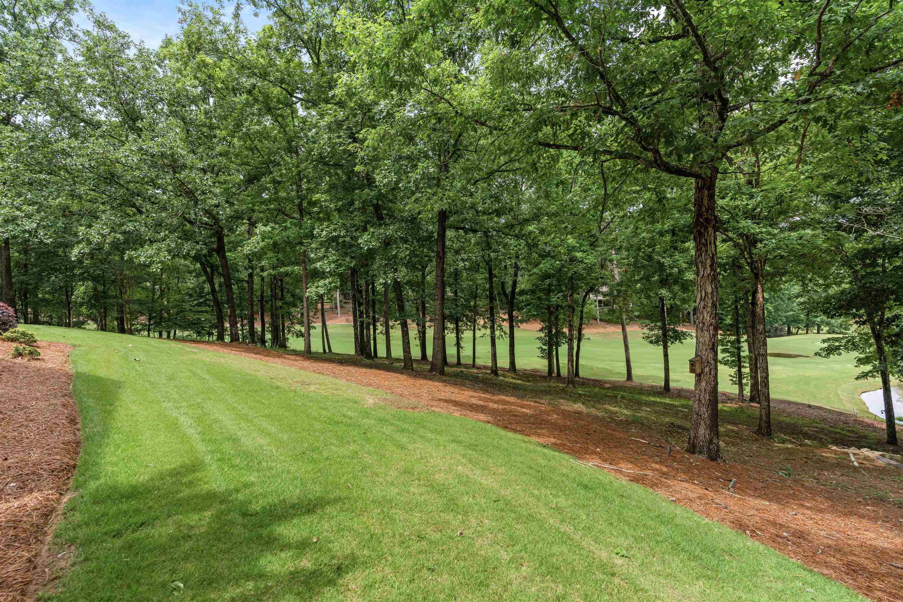 1101 Wrayswood Circle Property Photo 64
