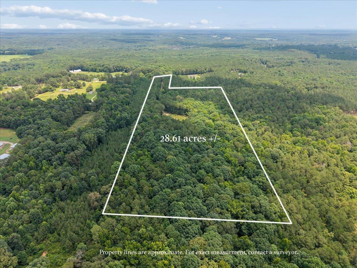 28.61 Acres SANDY CREEK ROAD # 0 Property Photo 1