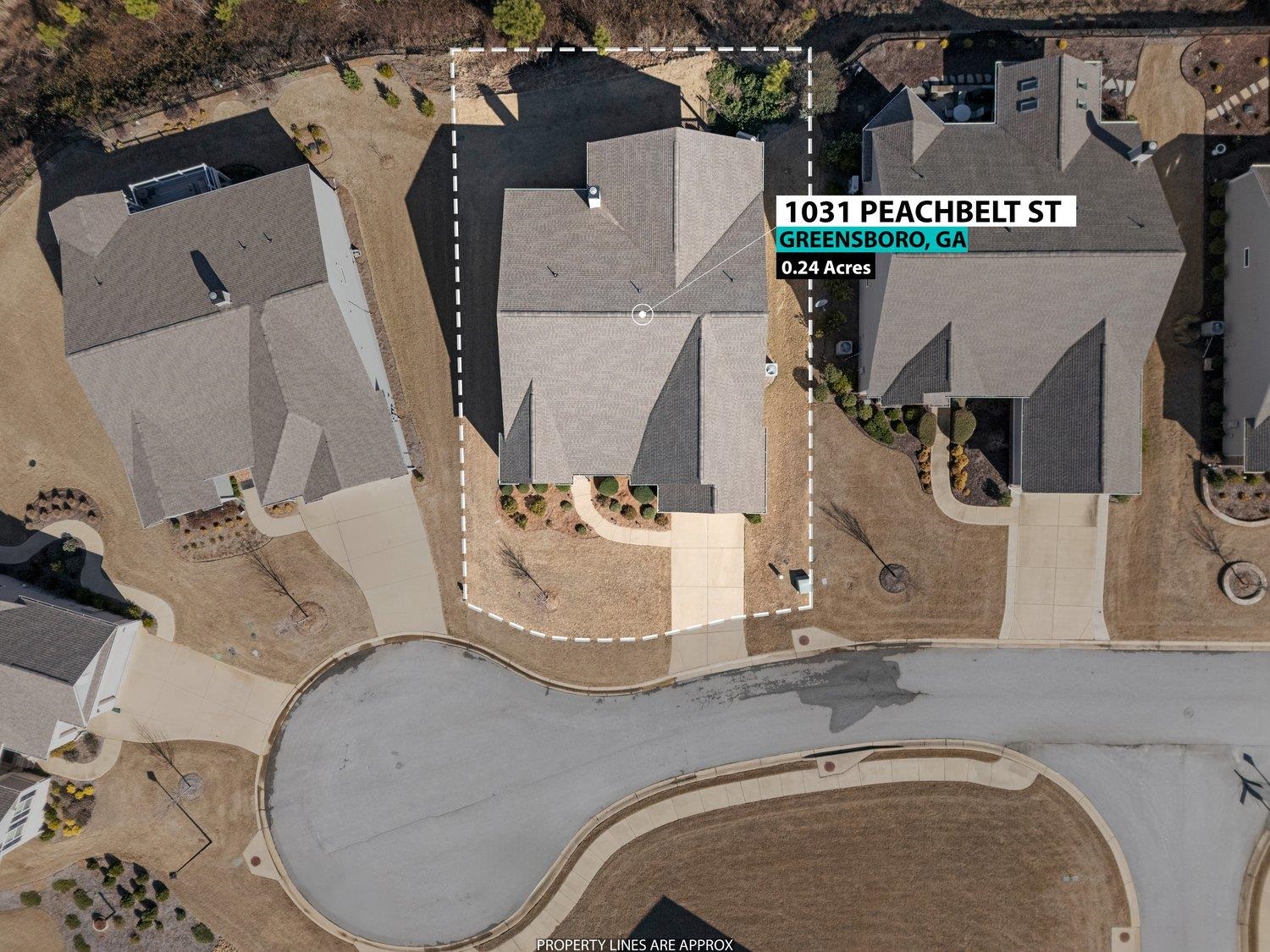 1031 Peachbelt St Property Photo 16