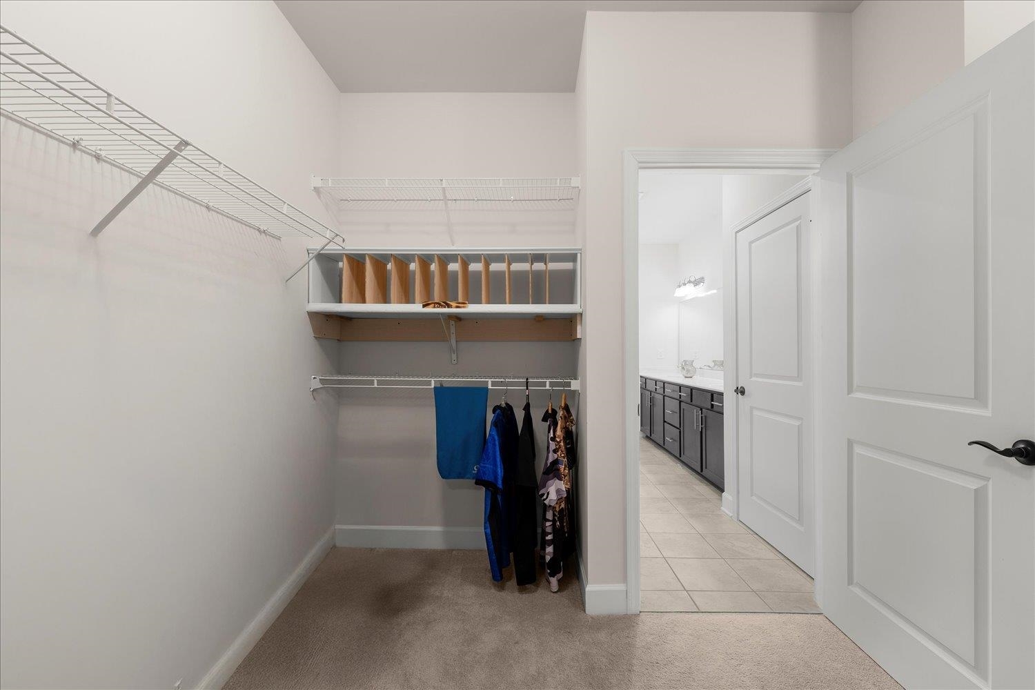 1031 Peachbelt St Property Photo 28