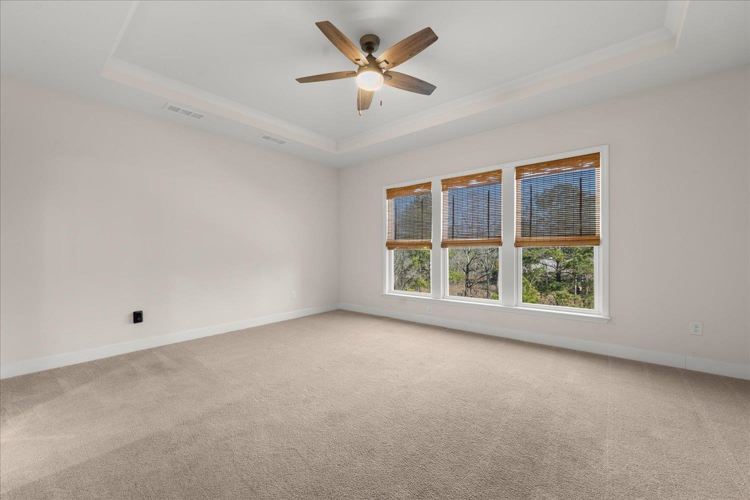 1031 Peachbelt St Property Photo 36