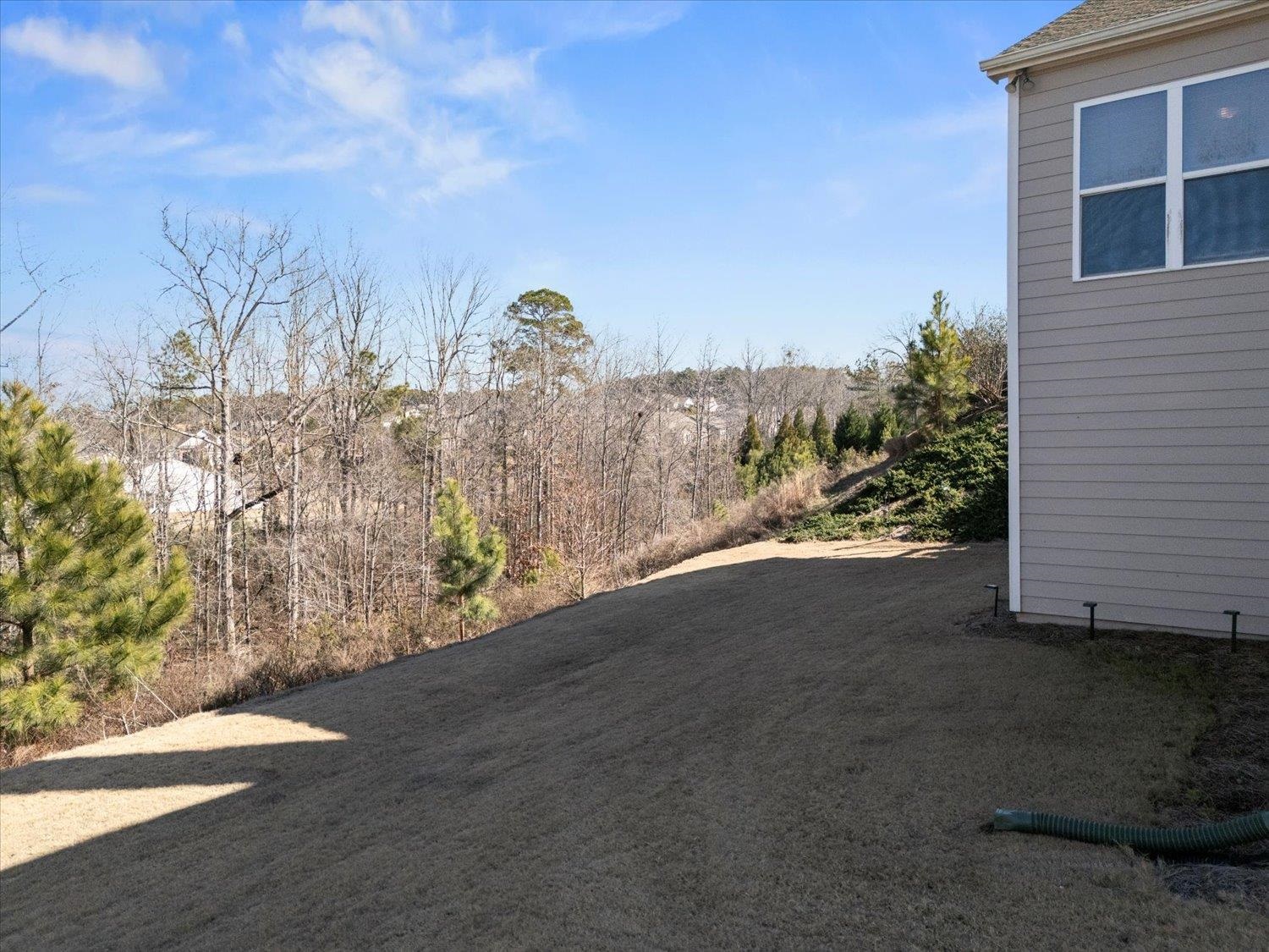 1031 Peachbelt St Property Photo 72